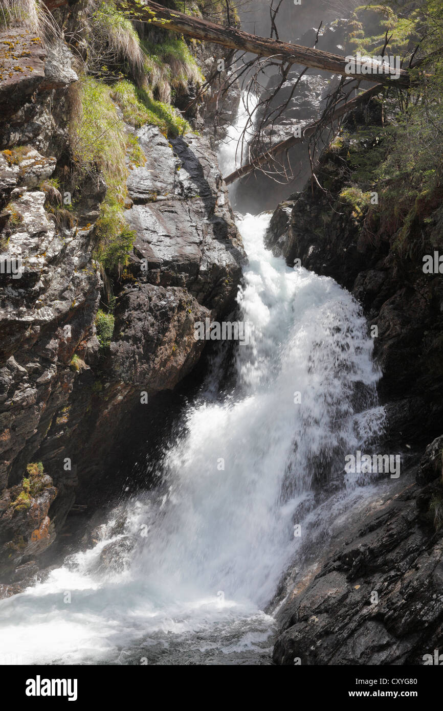 Small waterfall of the Riesach creek, Riesach falls, Soelktaeler Nature Park, Schladming Tauern mountains, Upper Styria, Styria Stock Photo
