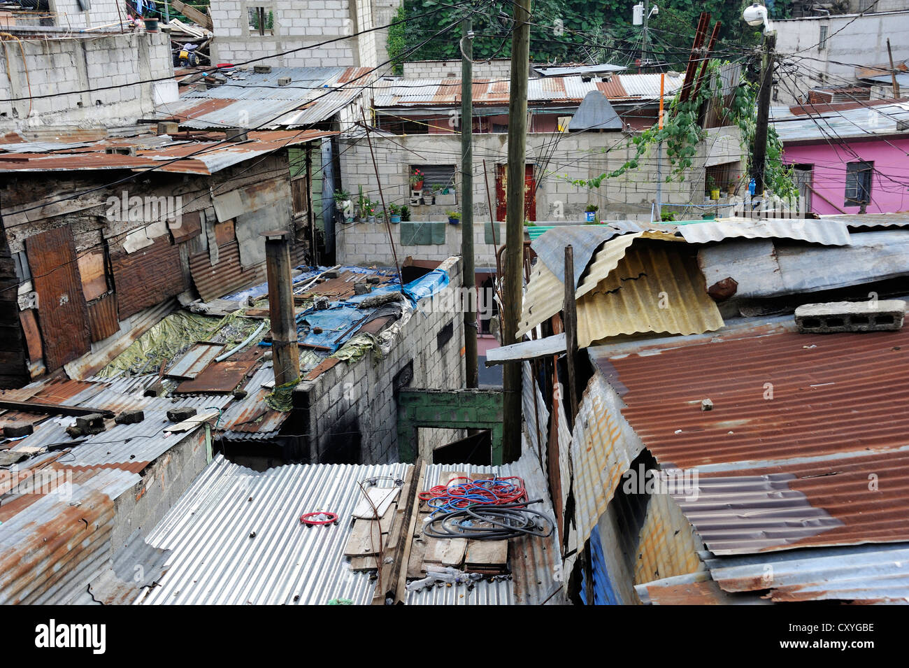 Corrugated iron roofs, El Esfuerzo slum, the disrict is controlled by ...