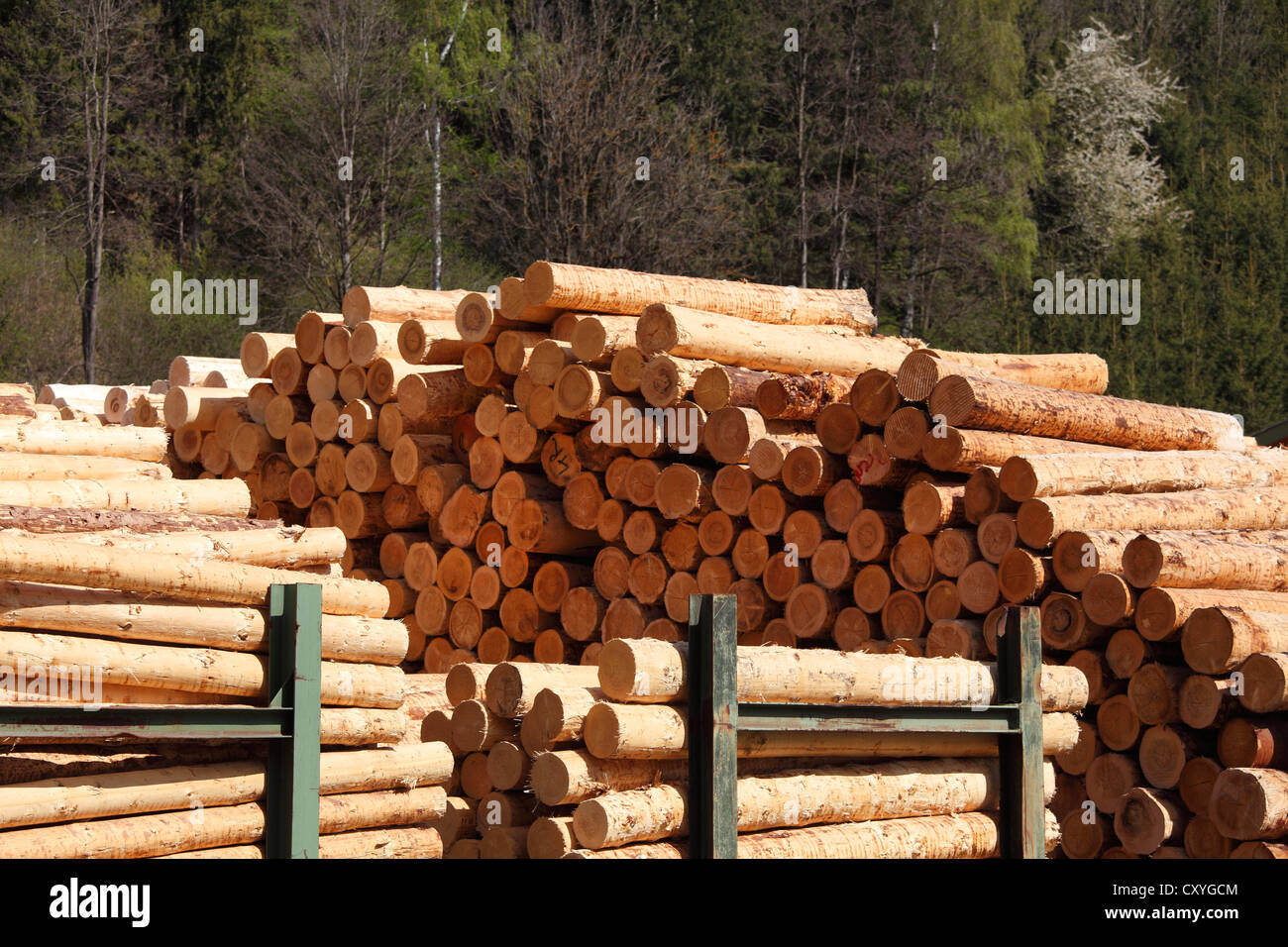 Stacked logs near Obdach, Upper Styria, Styria, Austria, Europe, PublicGround Stock Photo