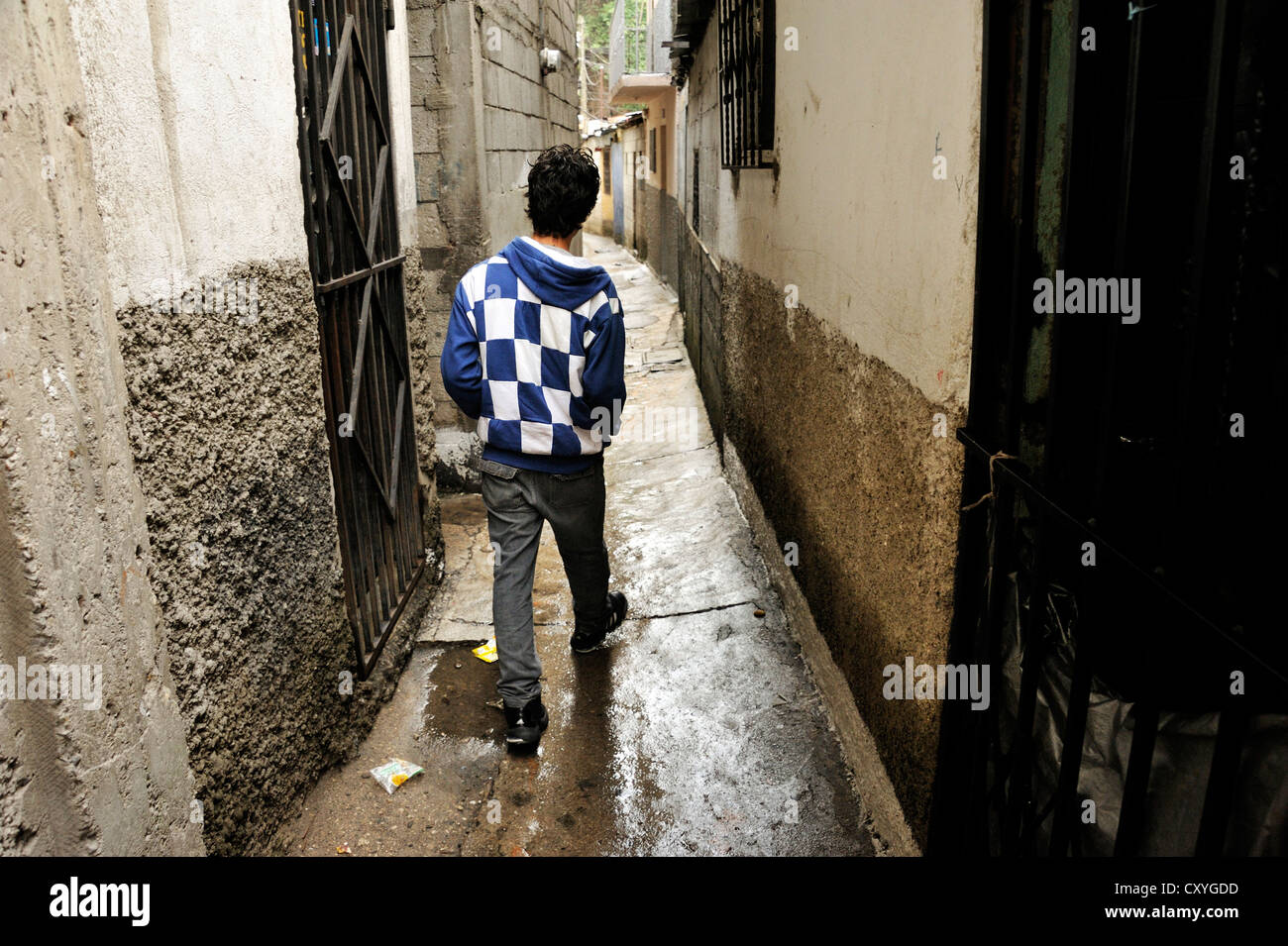 Young man, 18 years old, a former hired killer and member of a gang of youths, Mara, in his former district, El Esfuerzo slums Stock Photo