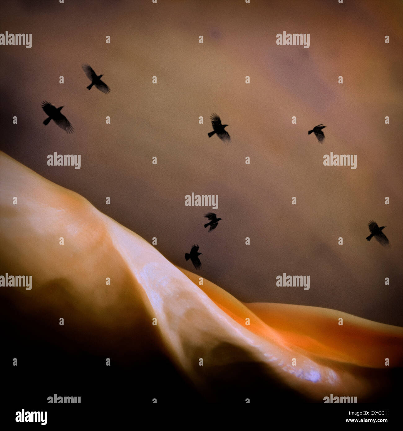 My Image 30