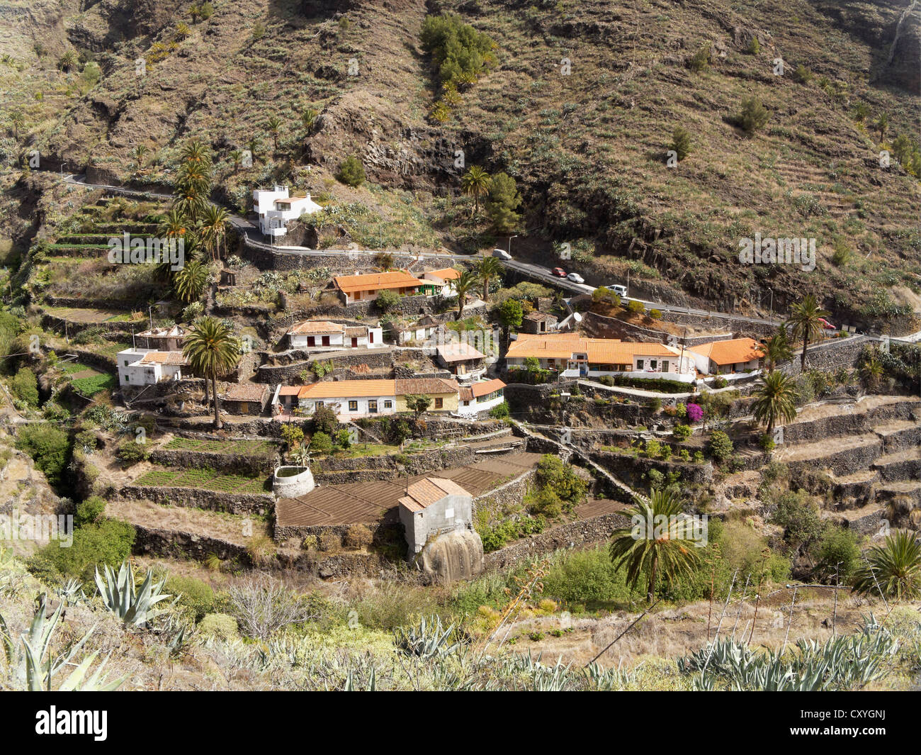 La Laja, Barranco de la Laja, La Gomera, Canary Islands, Spain, Europe Stock Photo