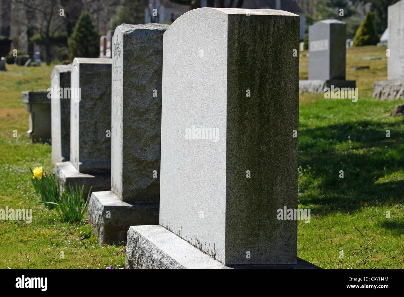 Headstones in a cemetery in New Jersey Stock Photo