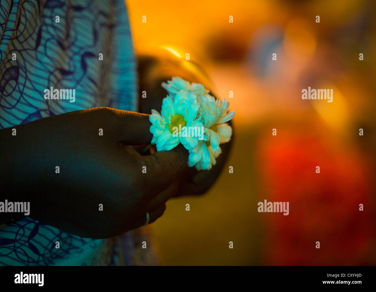 Hand Holding Small Flowers At Flower Market, Pondicherry, India Stock