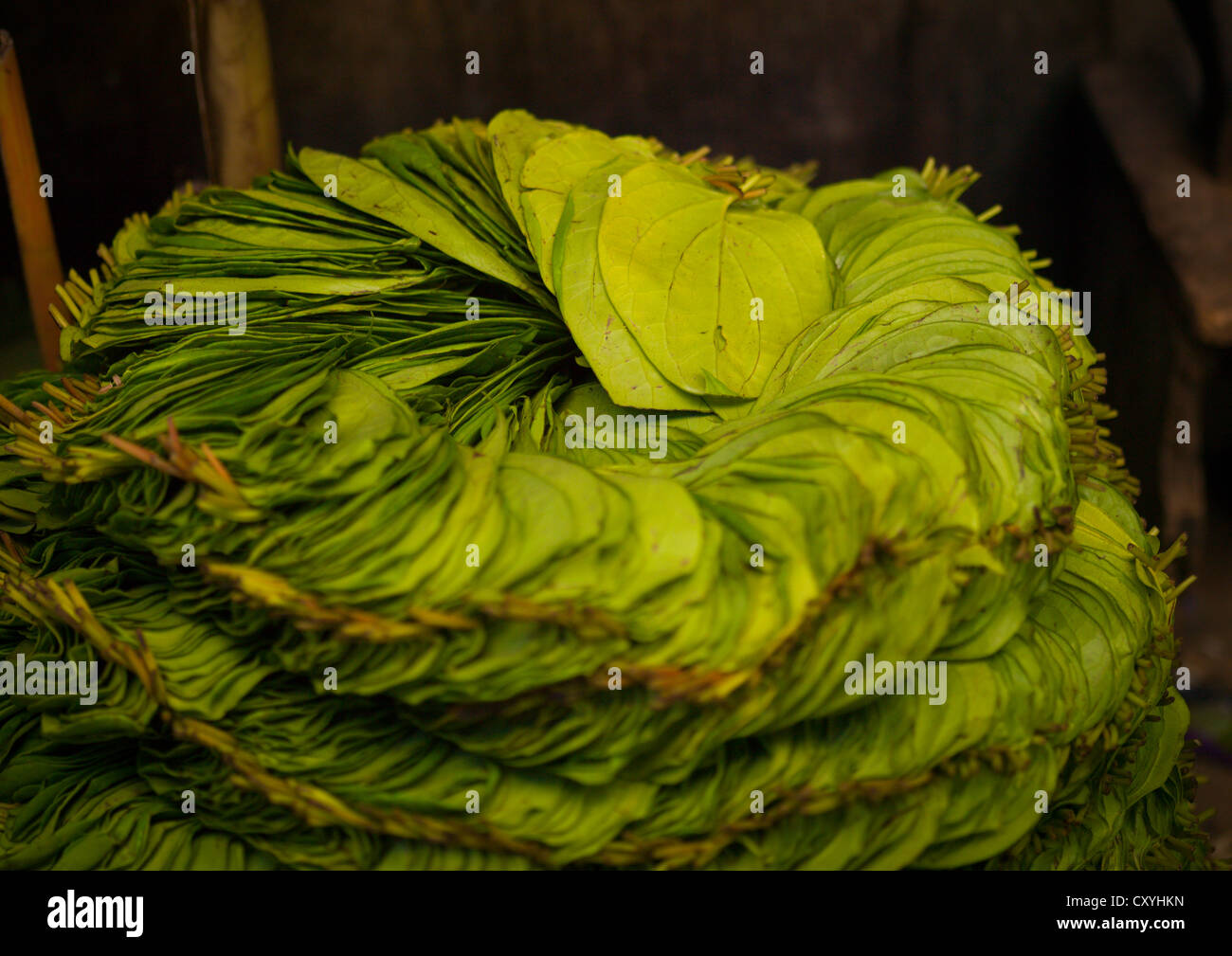 Bunches Of Leaves At Pondicherry Flower Market, India Stock Photo Alamy