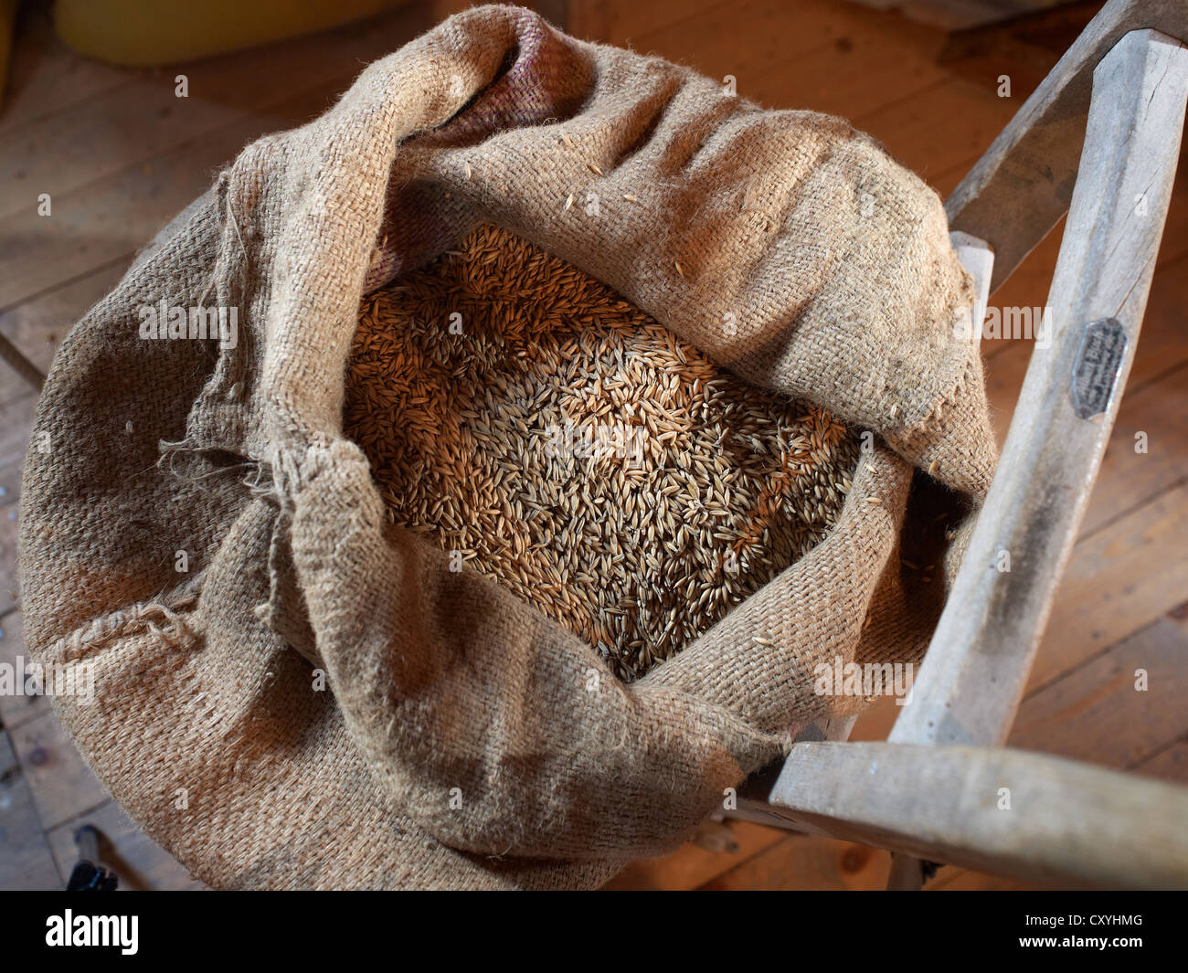 Open bag of wheat grains on a hand truck, Bardowick, Lueneburg Heath