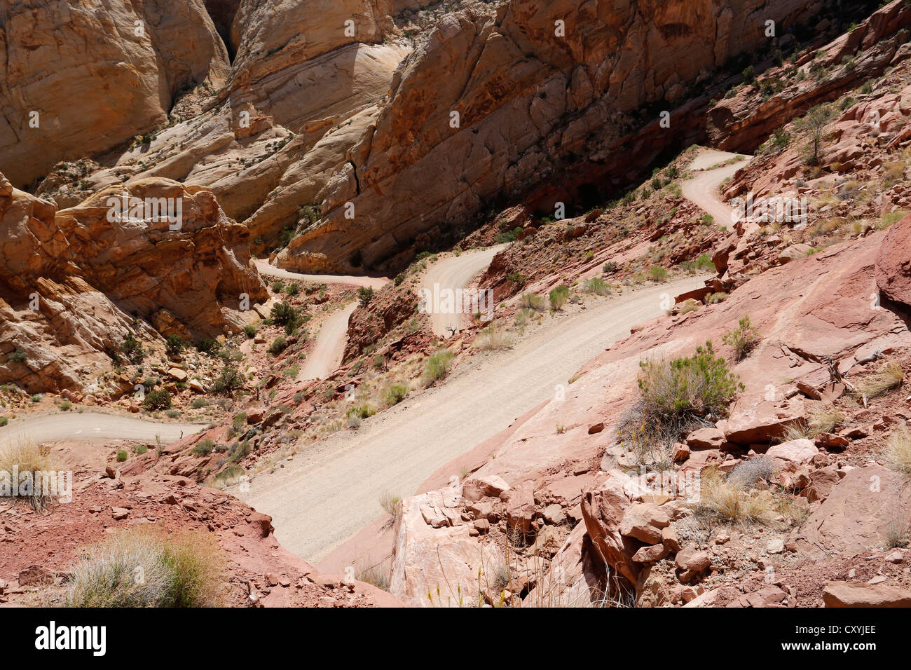 Switchbacks on the Burr Trail Road, Capitol Reef National Park, Utah, USA Stock Photo