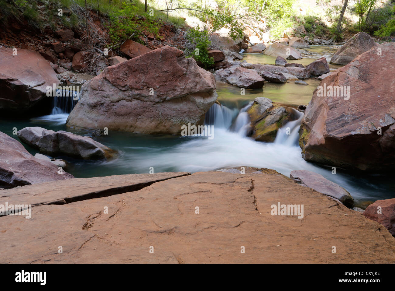 Rapids in the Virgin River, Zion Canyon National Park, Utah, USA Stock Photo