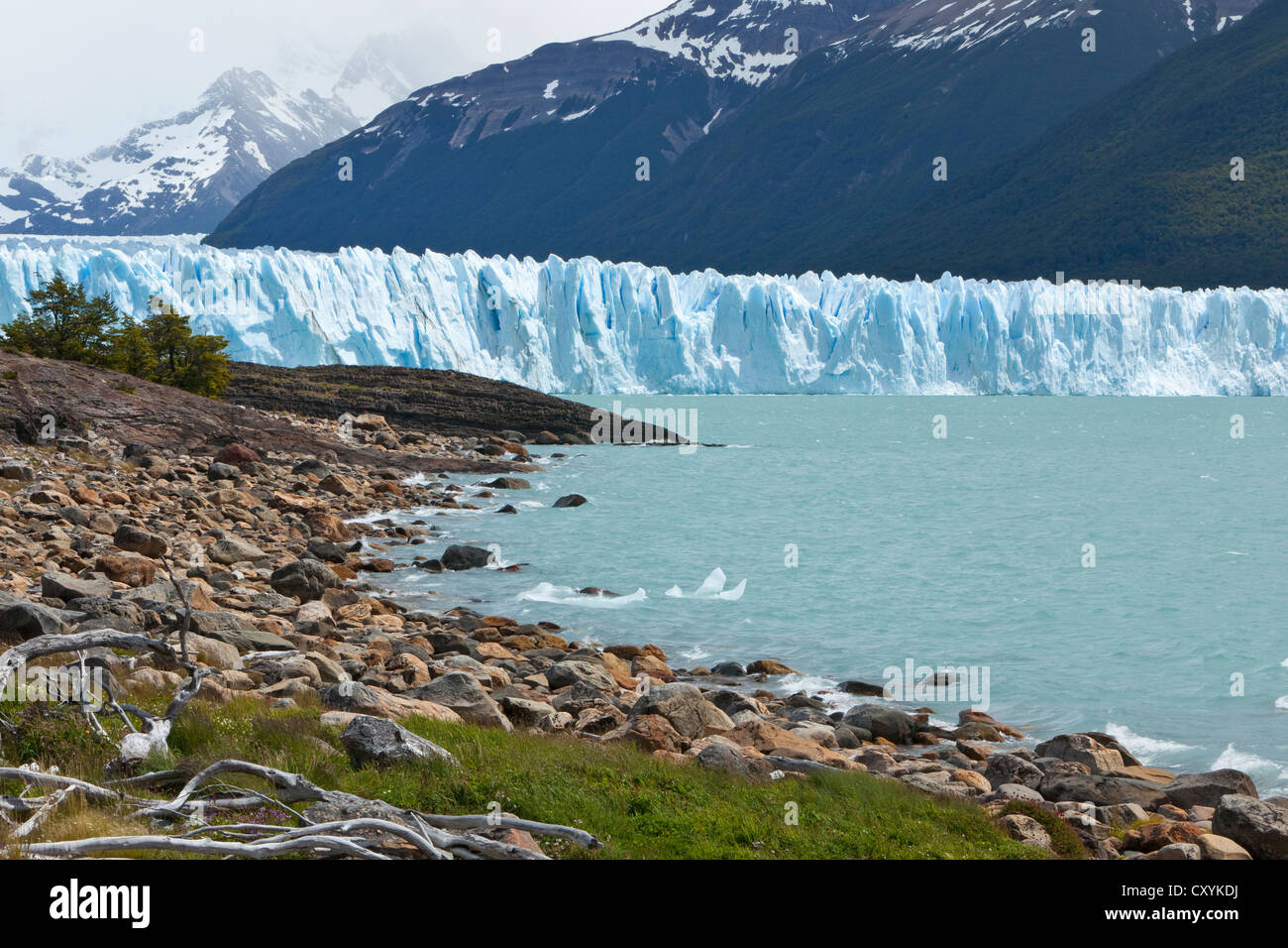 Glacial ice from the Perito Moreno Glacier at the lake of Lago Argentino, Santa Cruz region, Patagonia, Argentina, South America Stock Photo
