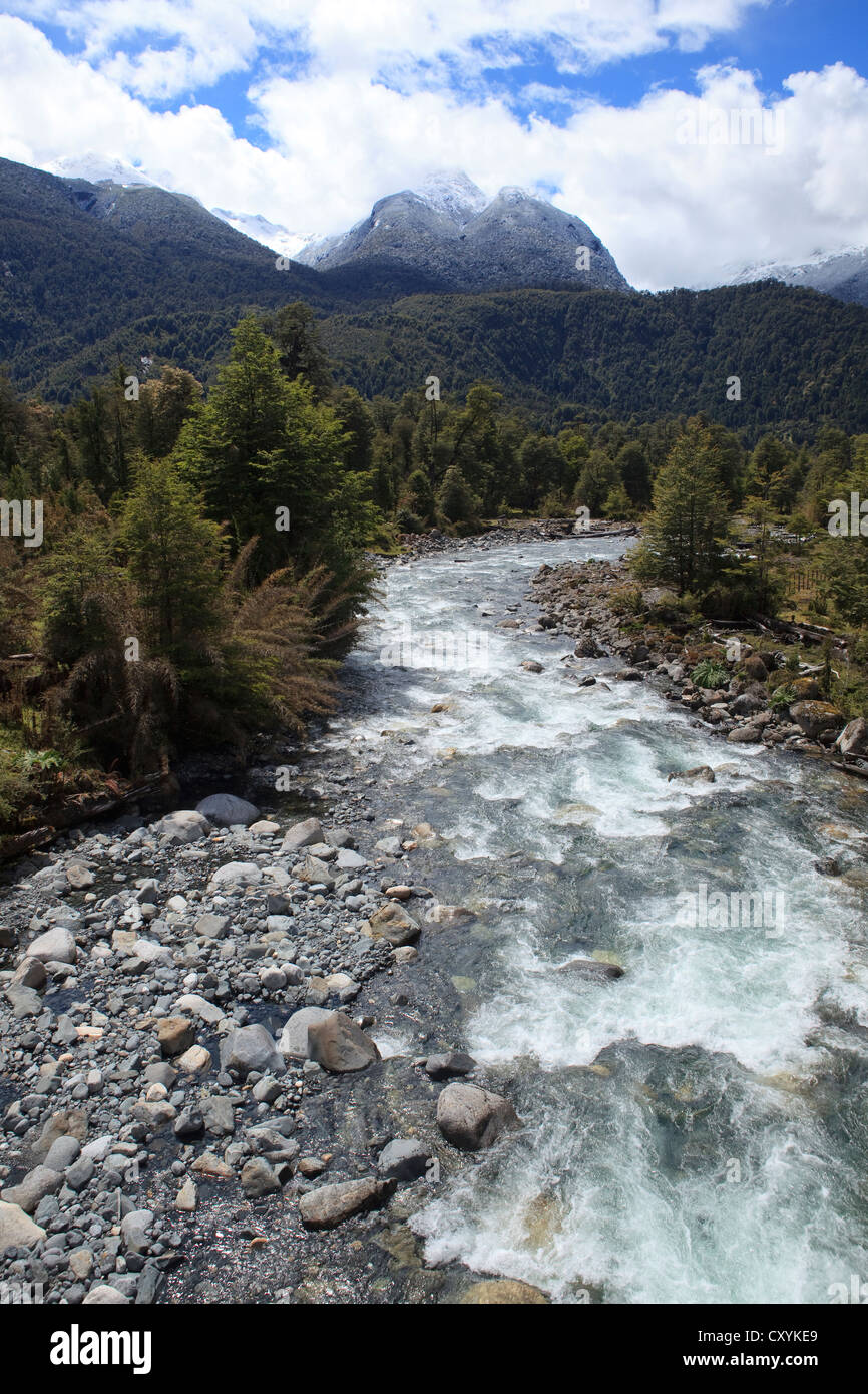 Mountain stream, Patagonian Andes, Carretera Austral, Ruta CH7 road, Panamerican Highway, Los Lagos Region, Chile, South America Stock Photo