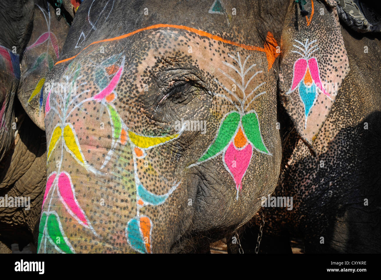 Painted elephant, Amber or Amer Fort, Amer Palace, Jaipur, Rajasthan, India, Asia Stock Photo