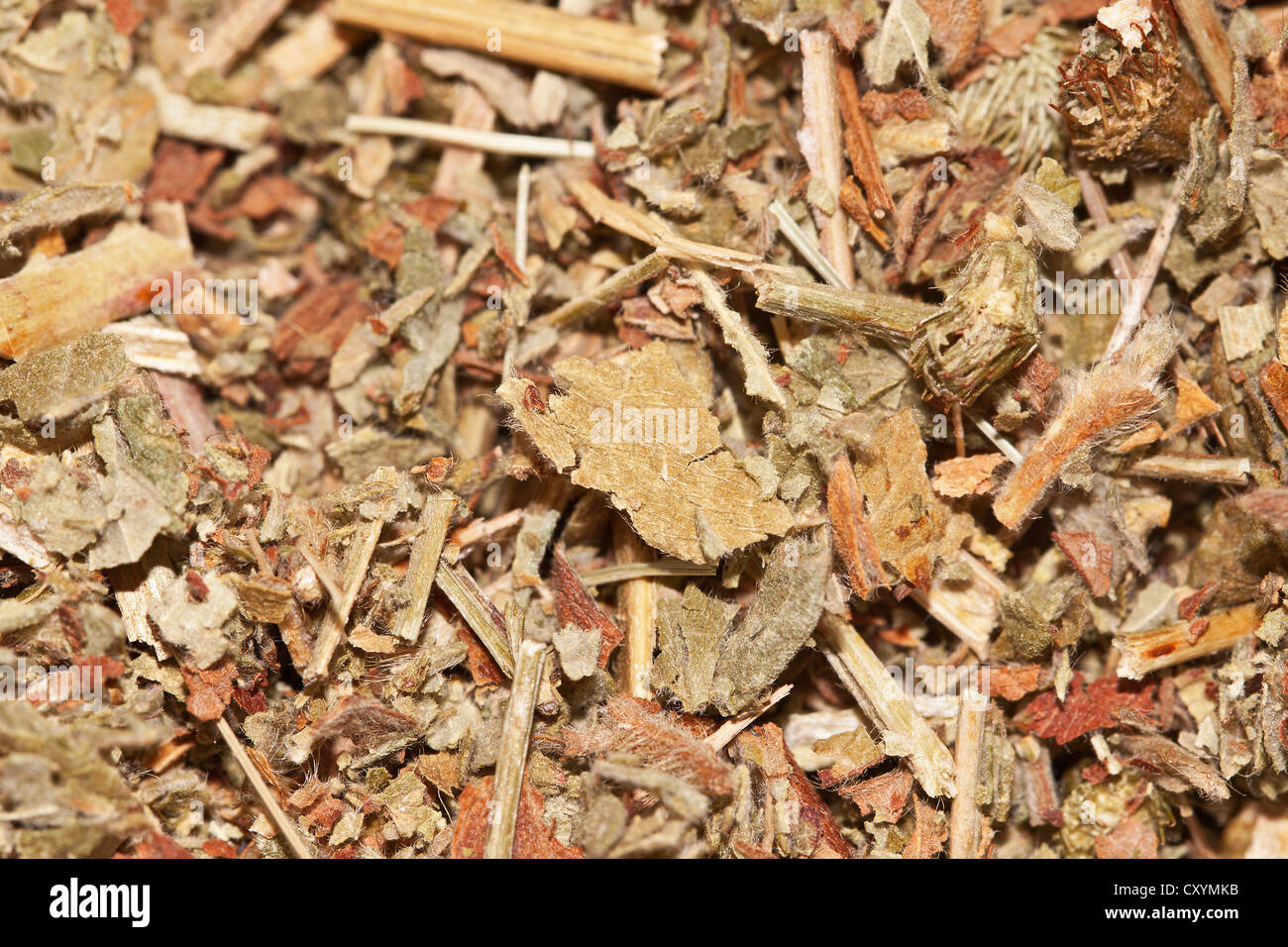 Agrimony tea, organic tea Stock Photo - Alamy