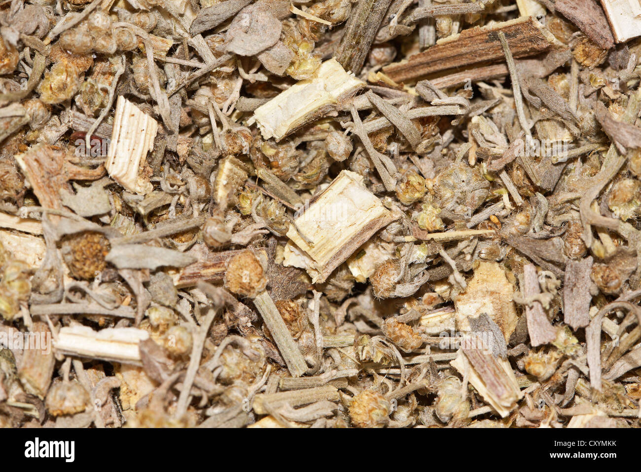 Wormwood tea, organic tea Stock Photo Alamy