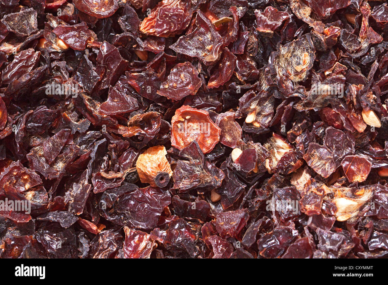 Rose hip tea, dried rose hips (Rosa canina Stock Photo Alamy