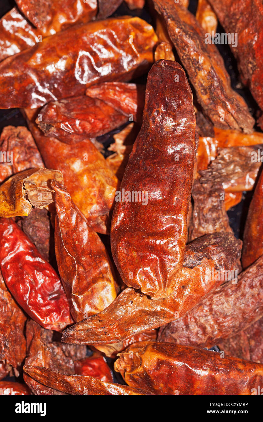 Large chili peppers (Capsicum), hot dried chilis, from Indonesia Stock Photo