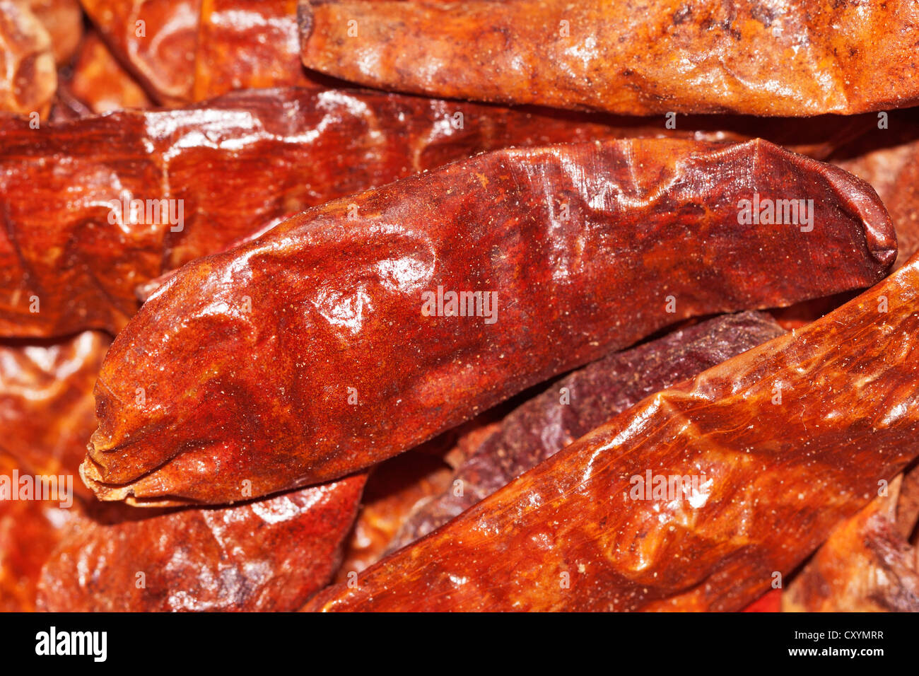 Large chili peppers (Capsicum), hot dried chilis, from Indonesia Stock Photo