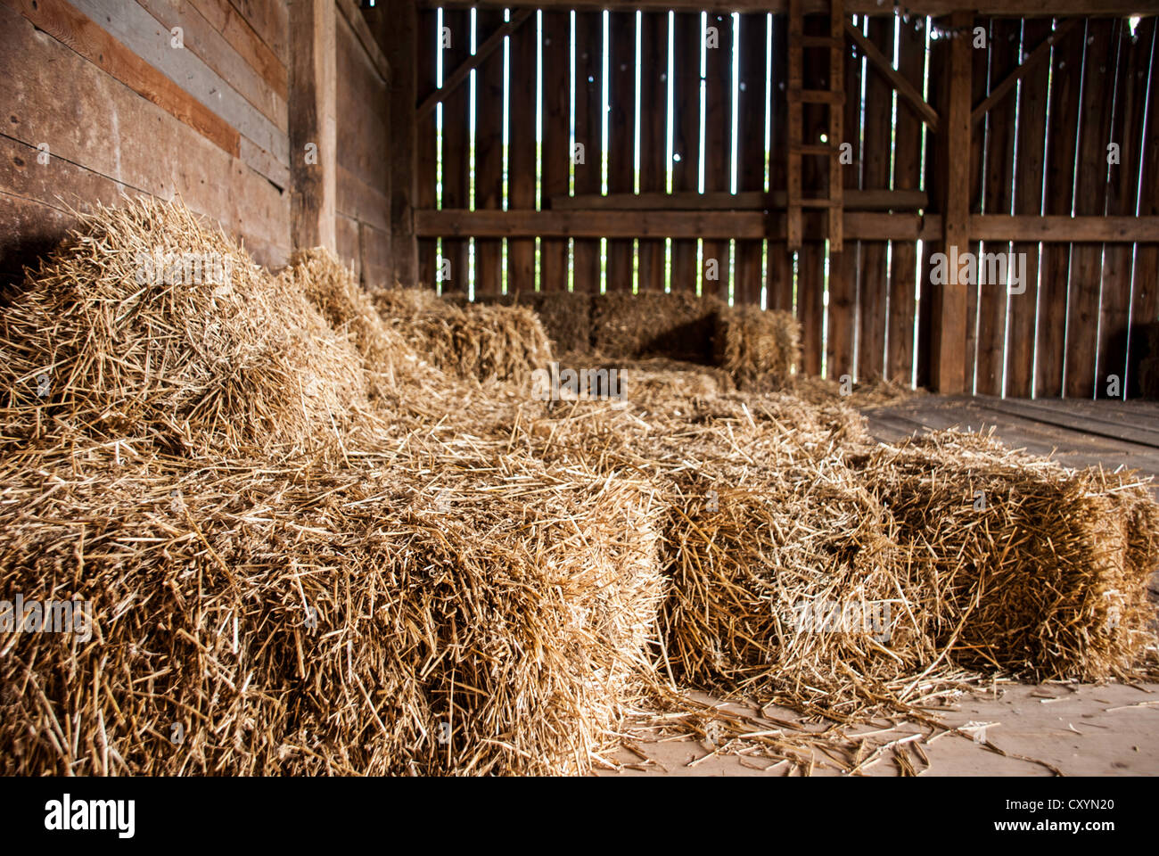 Hay In Barn Stock Photo Alamy