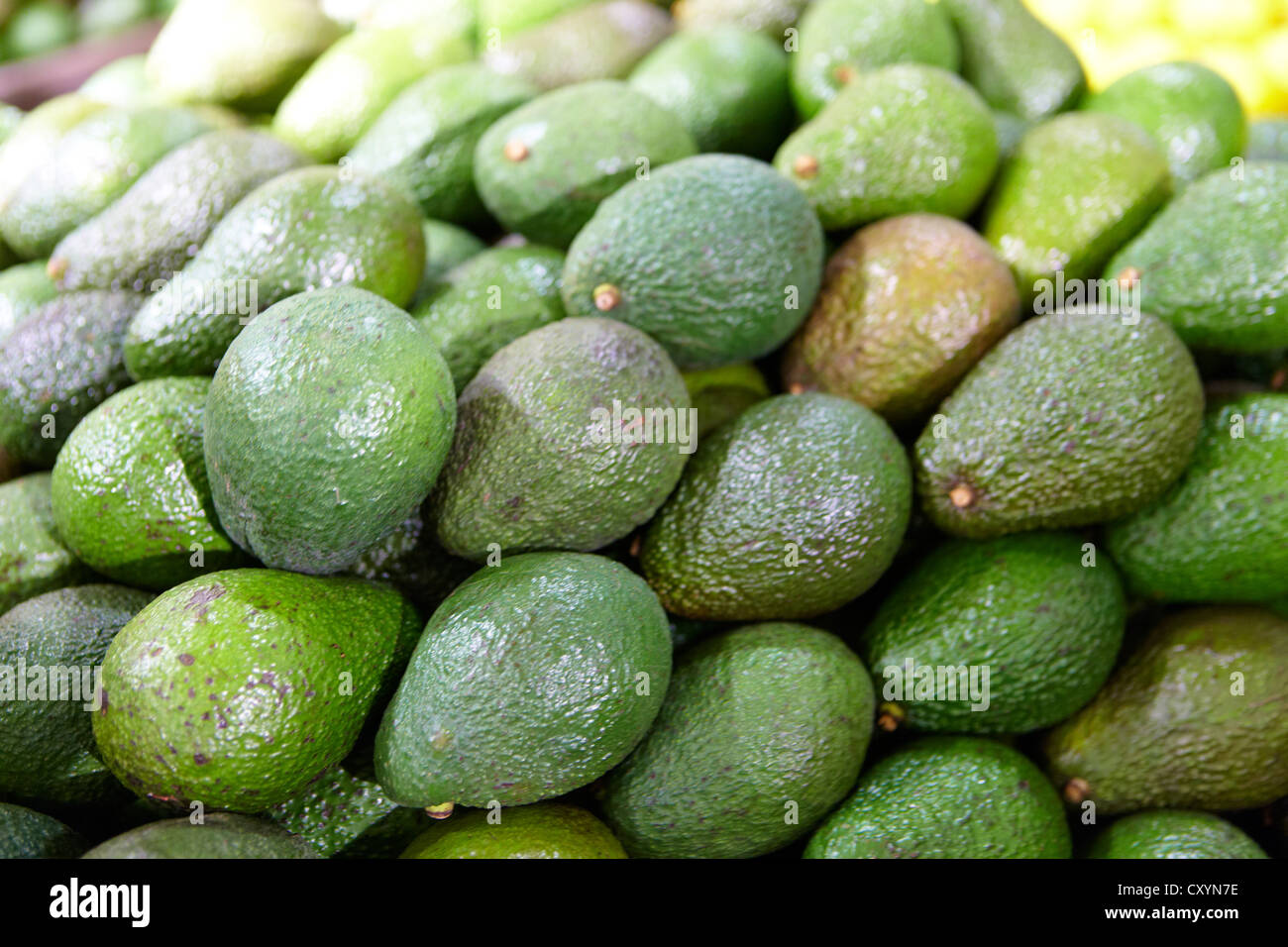 avocado organic fruit and veg vegetable stall shop Stock Photo