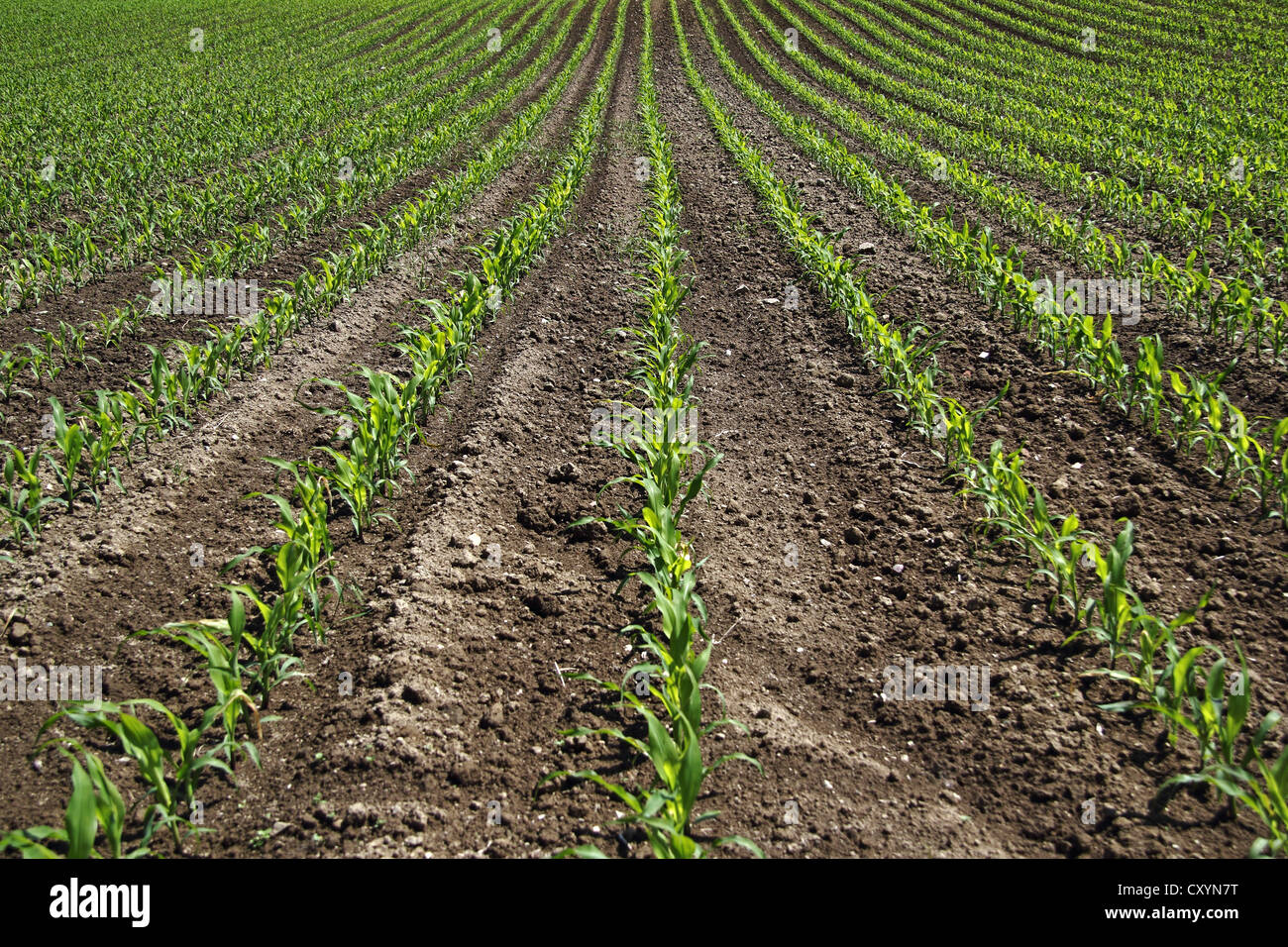 Outdoor shot biogas plant hi-res stock photography and images - Alamy