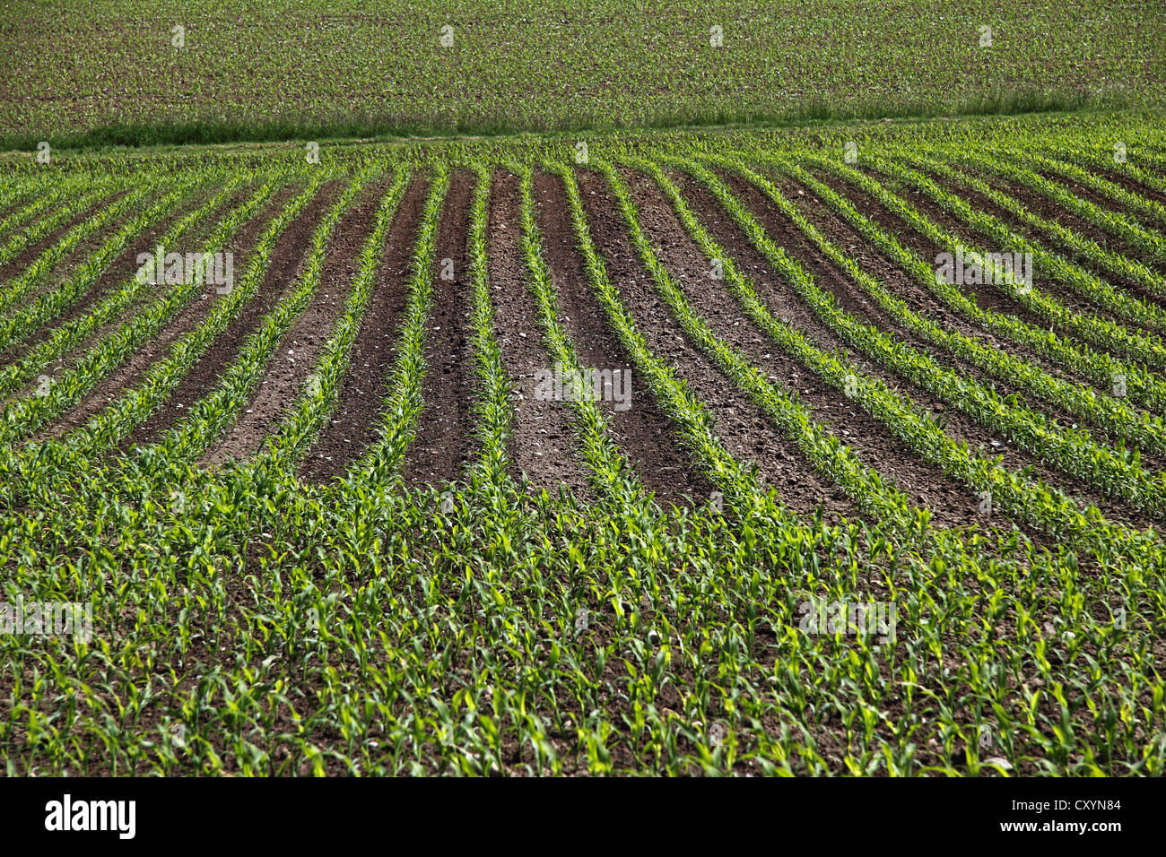 Outdoor shot biogas plant hi-res stock photography and images - Alamy