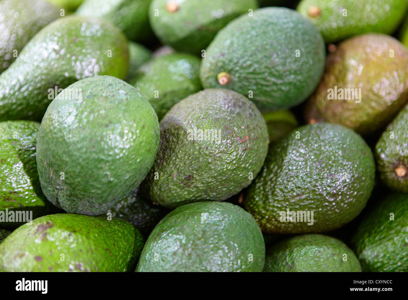 avocado organic fruit and veg vegetable stall shop Stock Photo