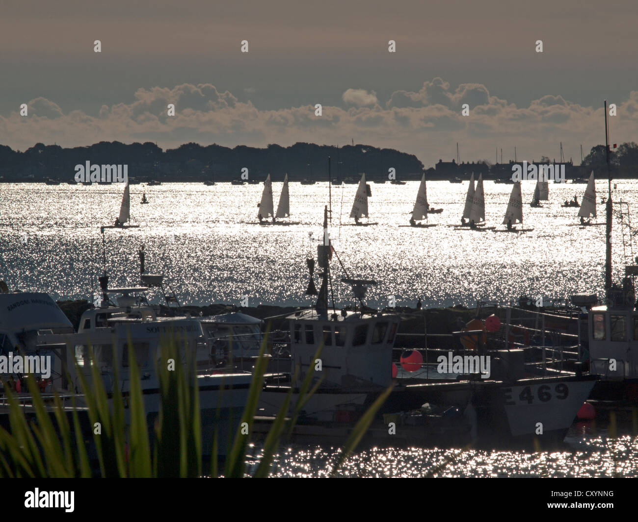 Sailing yacht in poole harbour hires stock photography and images Alamy