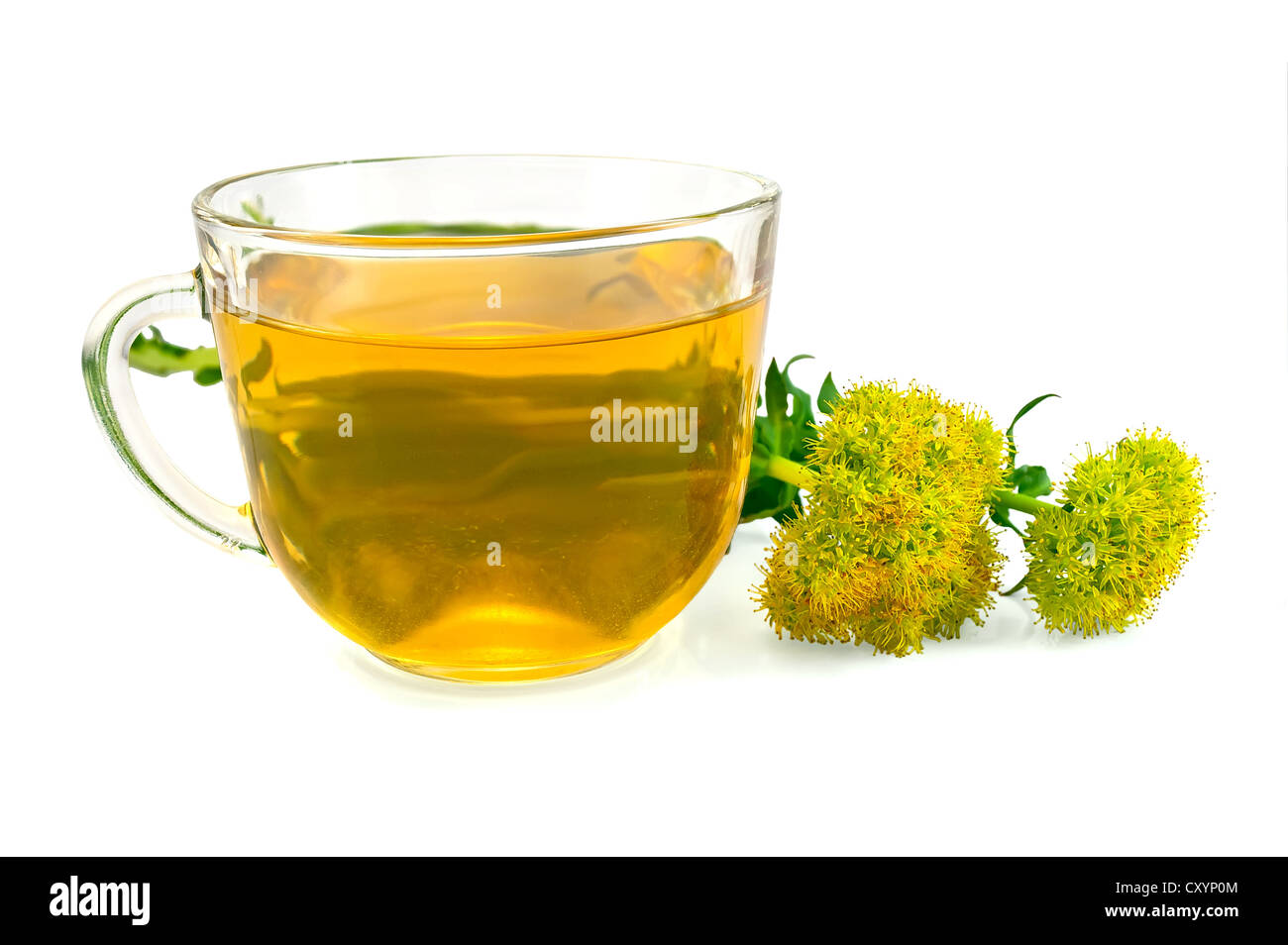 Healing herbal tea in a glass bowl with flowers Rhodiola rosea is isolated on a white background Stock Photo
