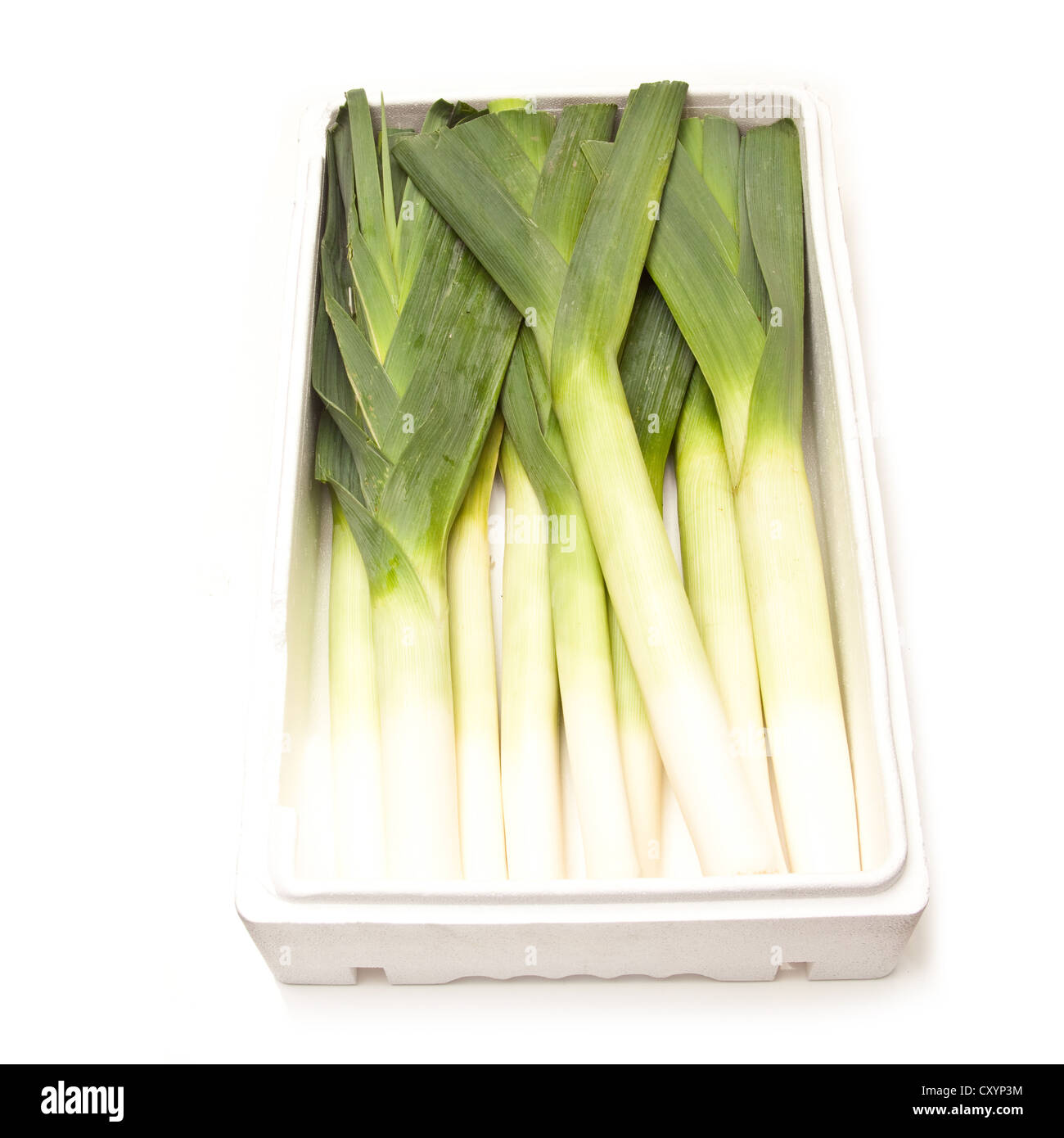 Box of leeks isolated on a white studio background. Stock Photo