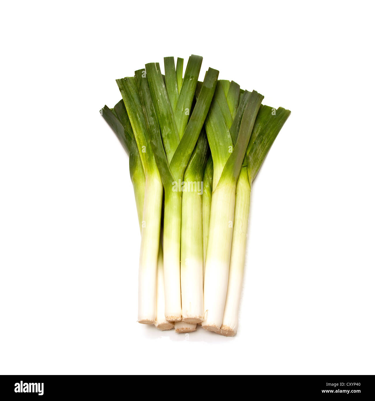 Bunch of leeks isolated on a white studio background. Stock Photo