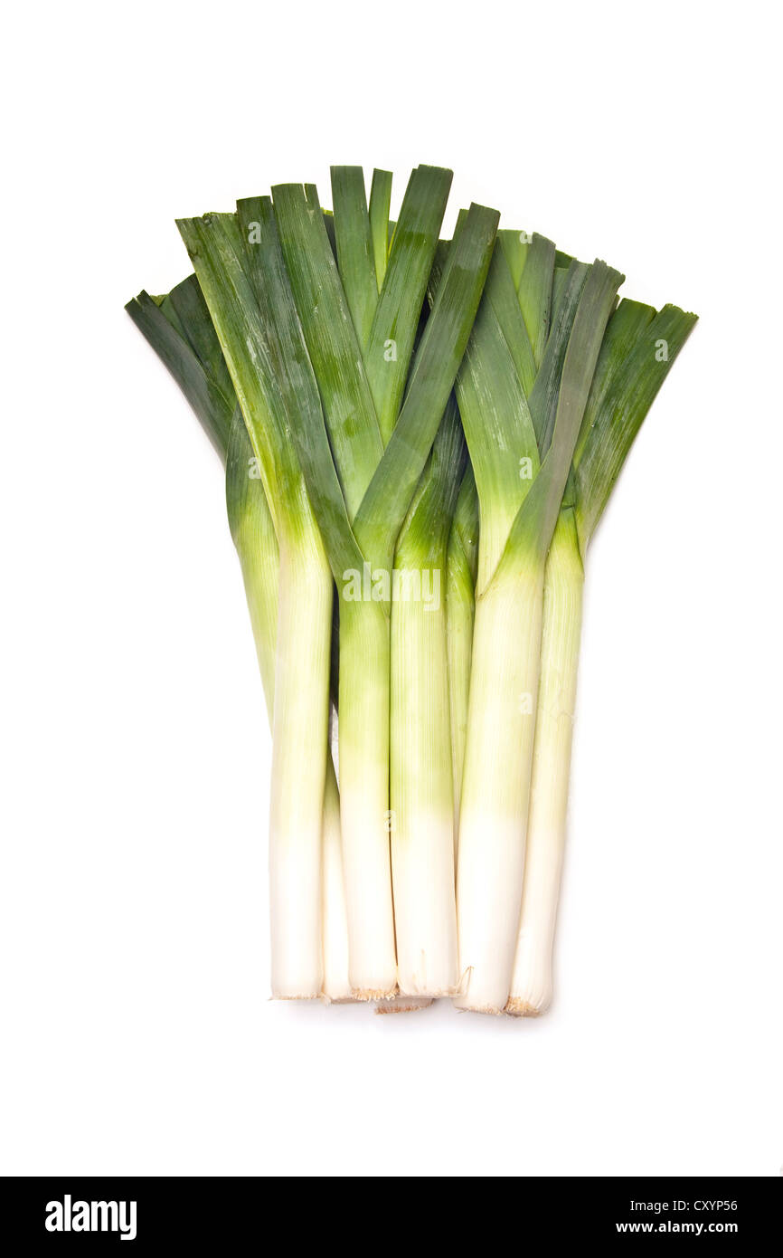 Bunch of leeks isolated on a white studio background. Stock Photo