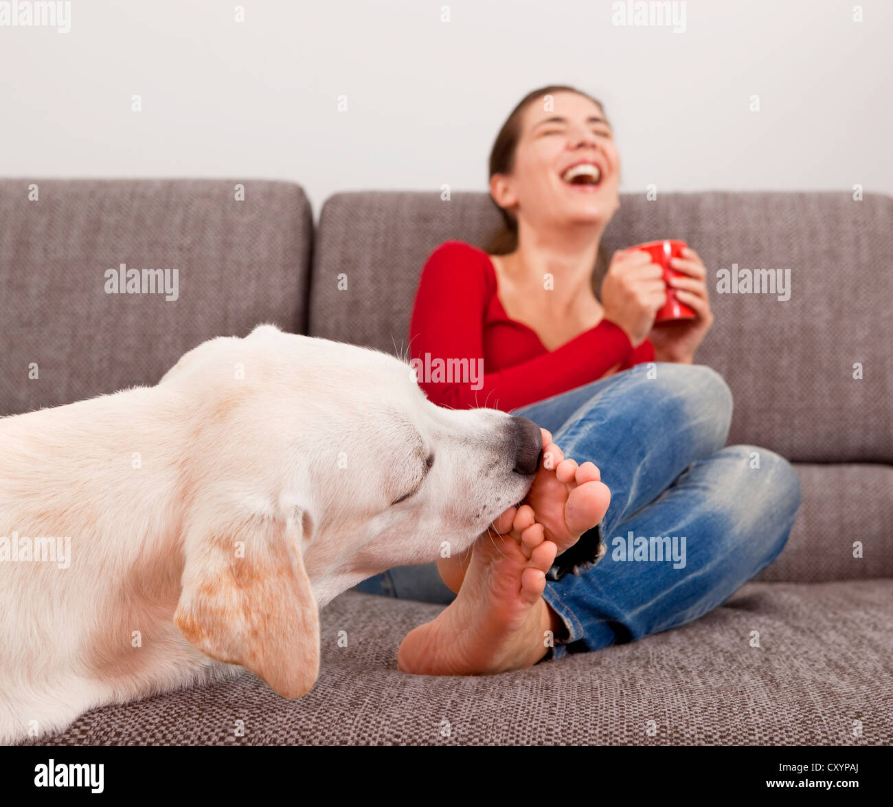 Toe Licking Feet