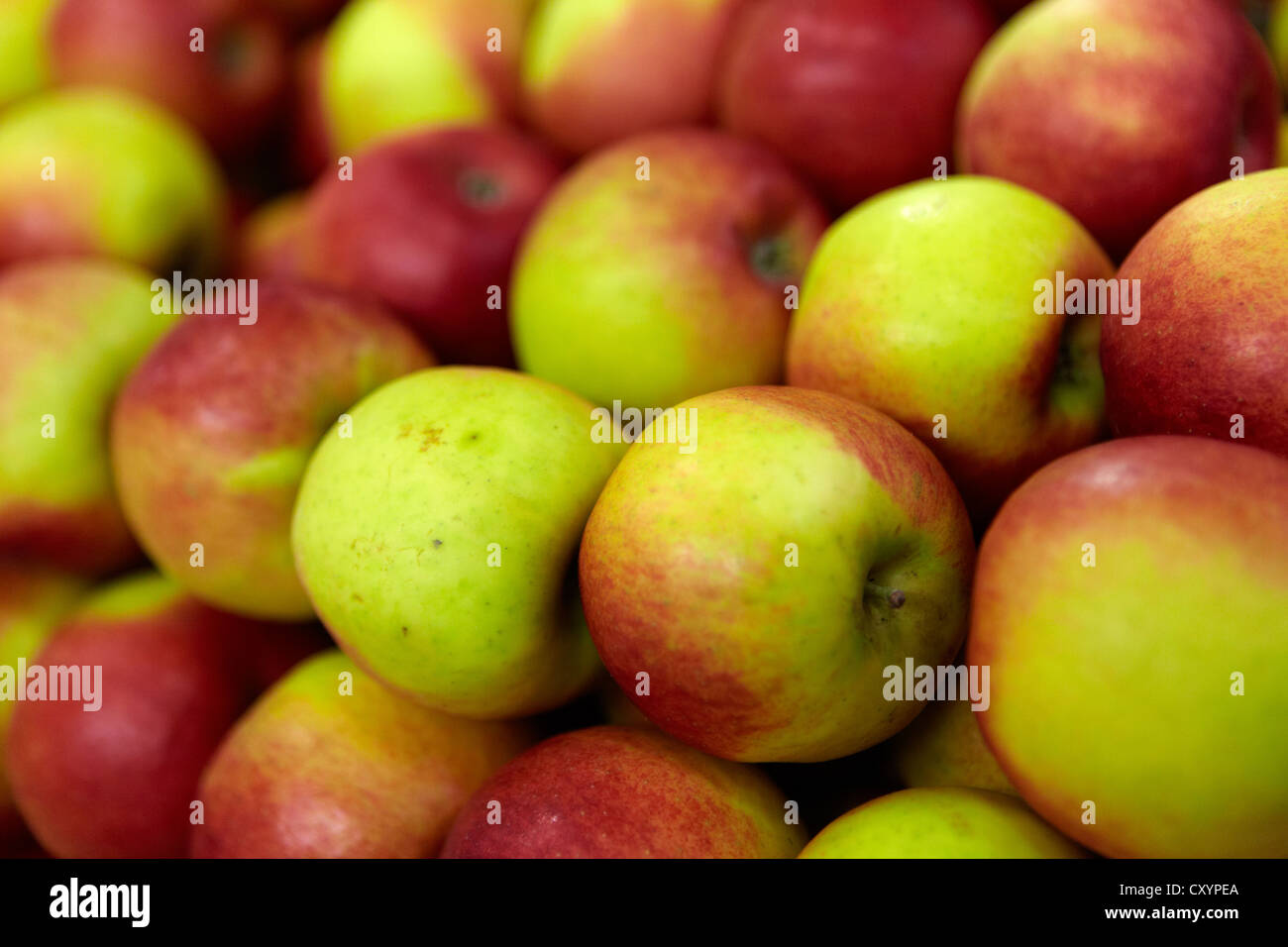 apples organic fruit and vegetable stall Stock Photo