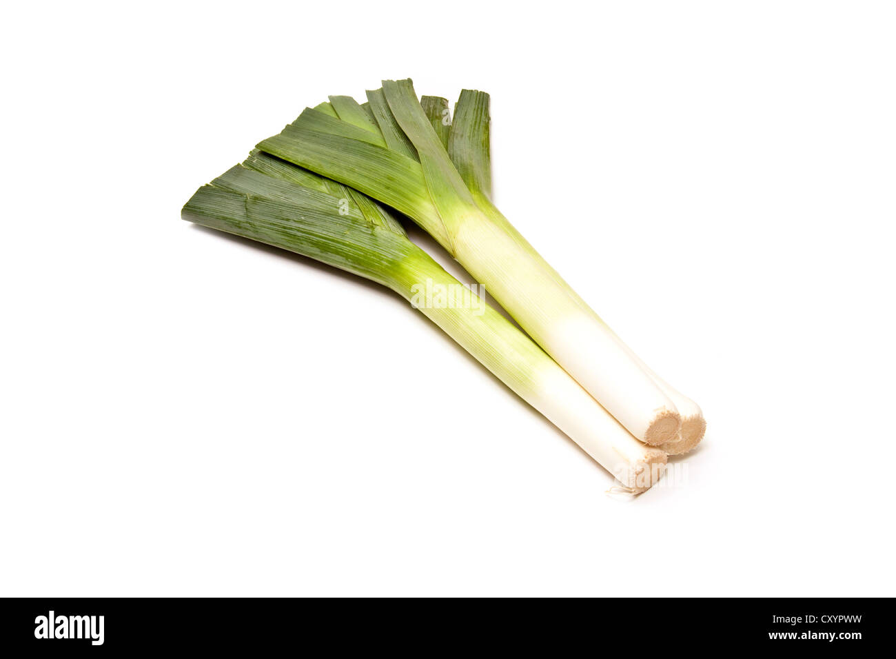 9.189 fotos de stock e banco de imagens de Leek Vegetable - Getty