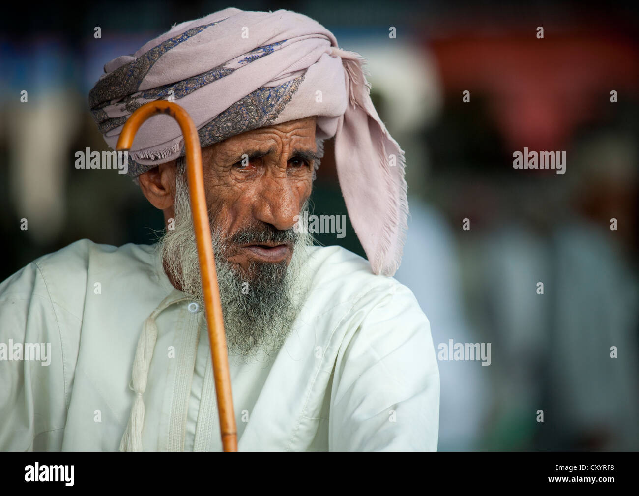 Mushuk teshigiga qarang