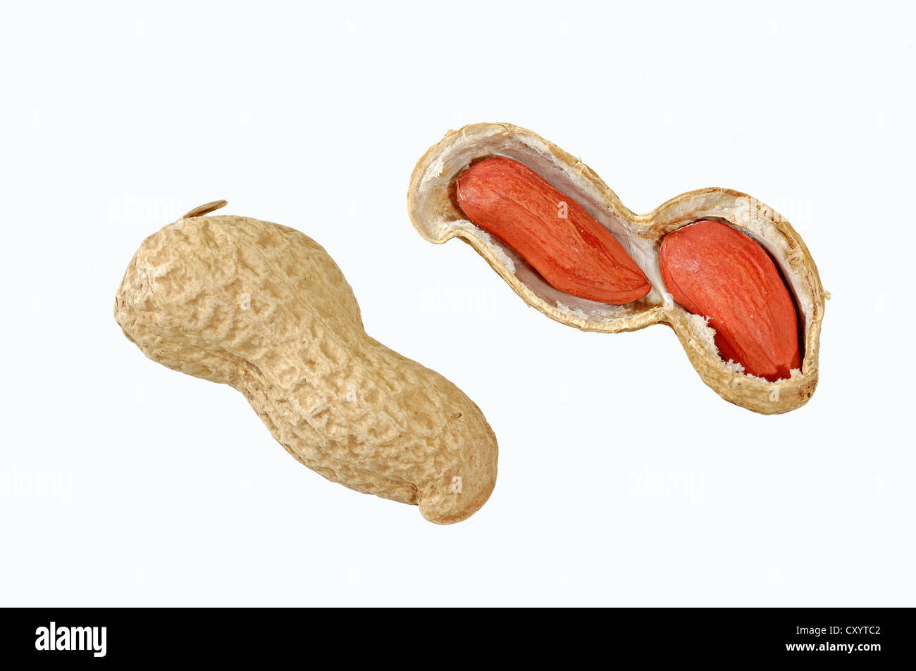 Peanuts (Arachis hypogaea) Stock Photo