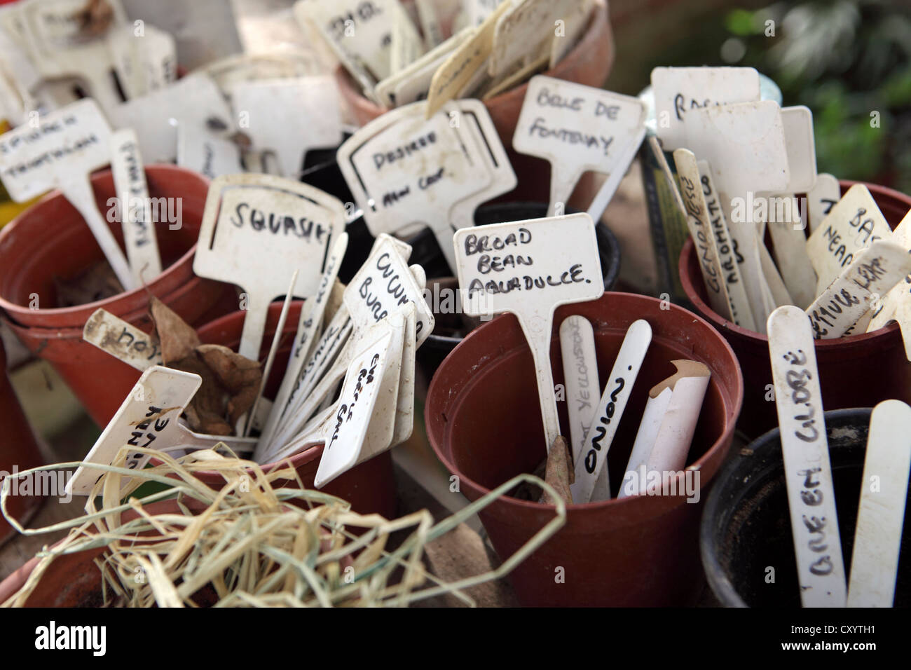 Close-up detail taken from the potting shed. Plastic plant labels showing numerous varieties of vegetables, beans and squash. Stock Photo