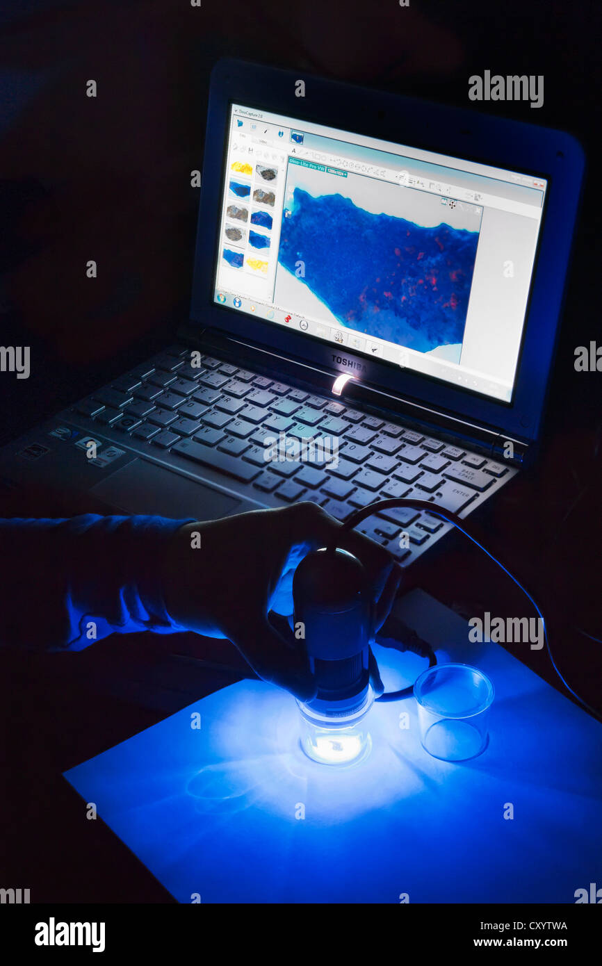 Dinolite usb digital hand held microscope connected to a laptop Stock