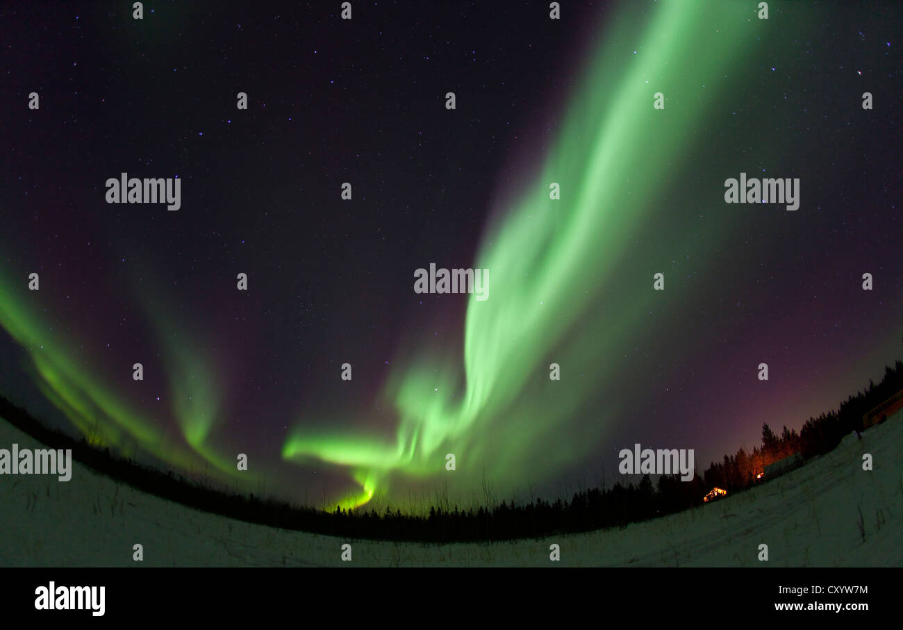 Swirling northern polar lights, Aurora Borealis, green, near Whitehorse, Yukon Territory, Canada Stock Photo
