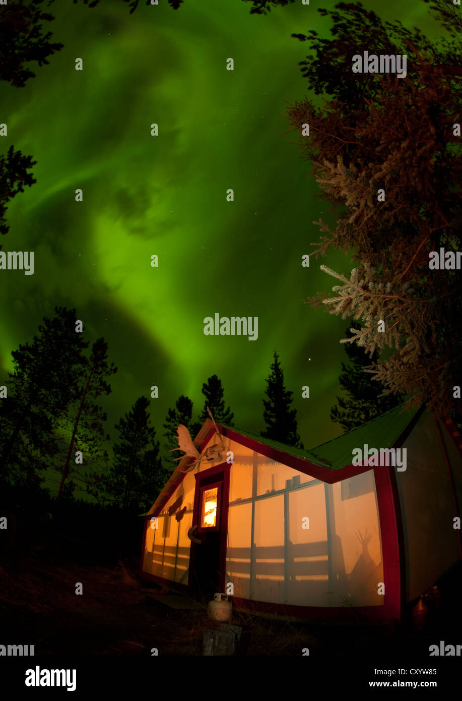 Illuminated, lit wall tent, cabin with swirling northern polar lights, Aurora Borealis, green, near Whitehorse, Yukon Territory Stock Photo