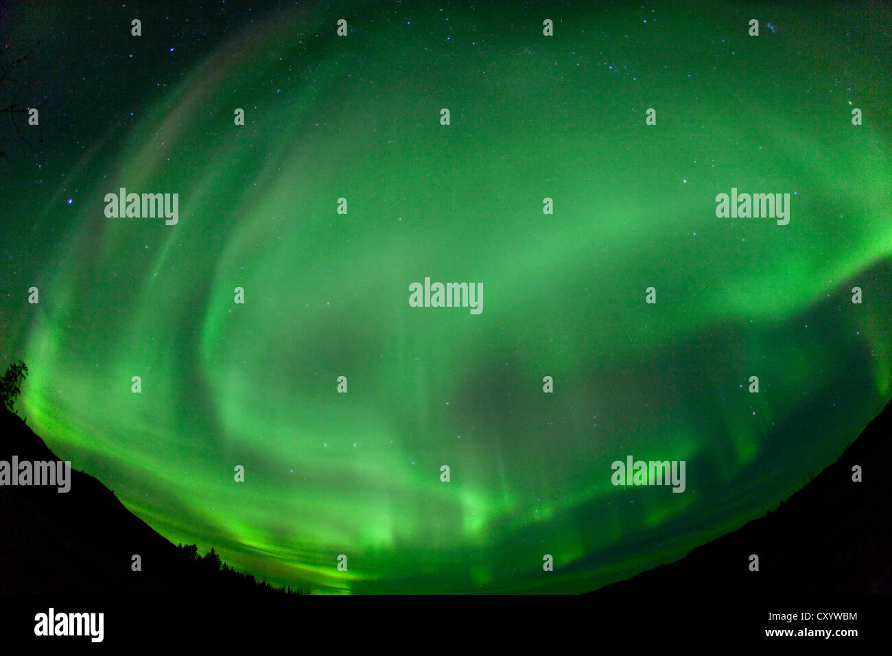 Swirling green northern polar lights, Aurora borealis, near Whitehorse, Yukon Territory, Canada Stock Photo
