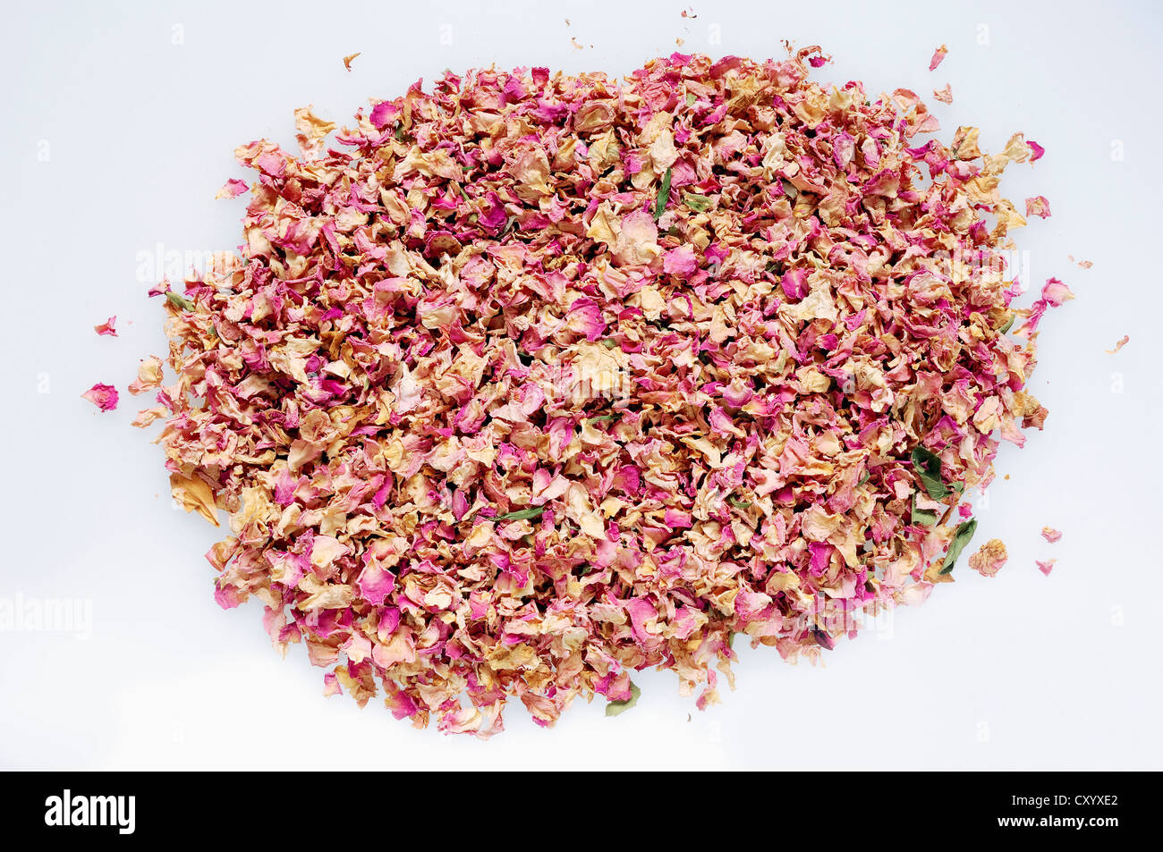 Dried rose petals (Rosa sp.), incense Stock Photo