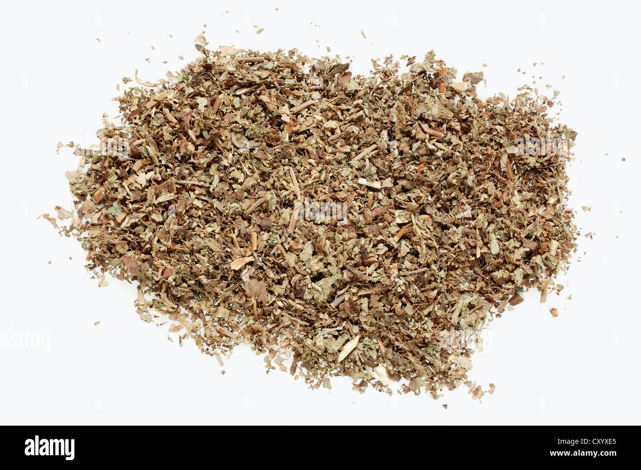 Dried patchouli (Pogostemon cablin), incense Stock Photo