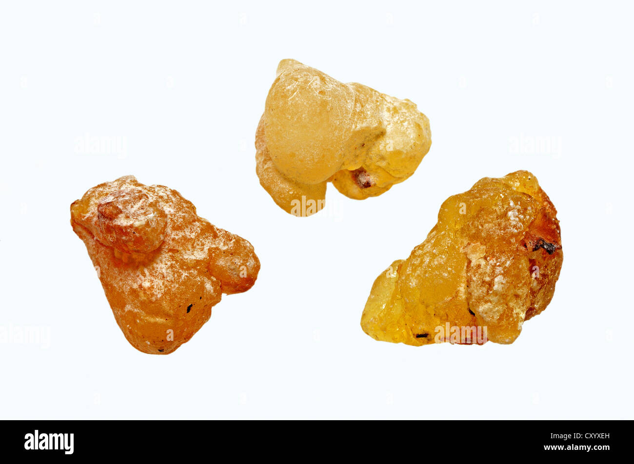 OMANI Aromatic Driend Frankincense (boswellia Serrata) Sold at Al-Husn