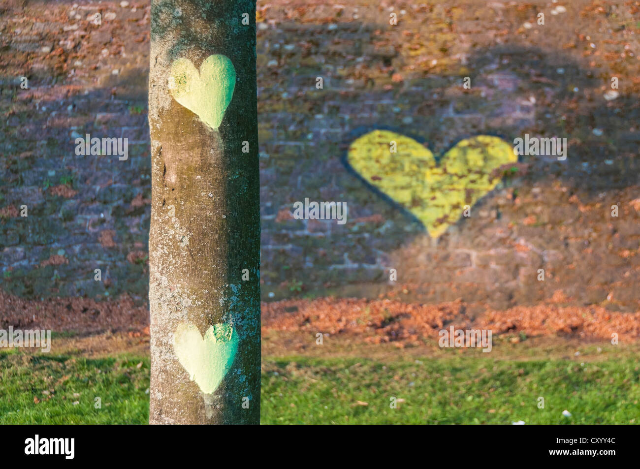 Painted hearts on a tree and on the shoreline stabilization, Frankfurt am Main, Hesse Stock Photo