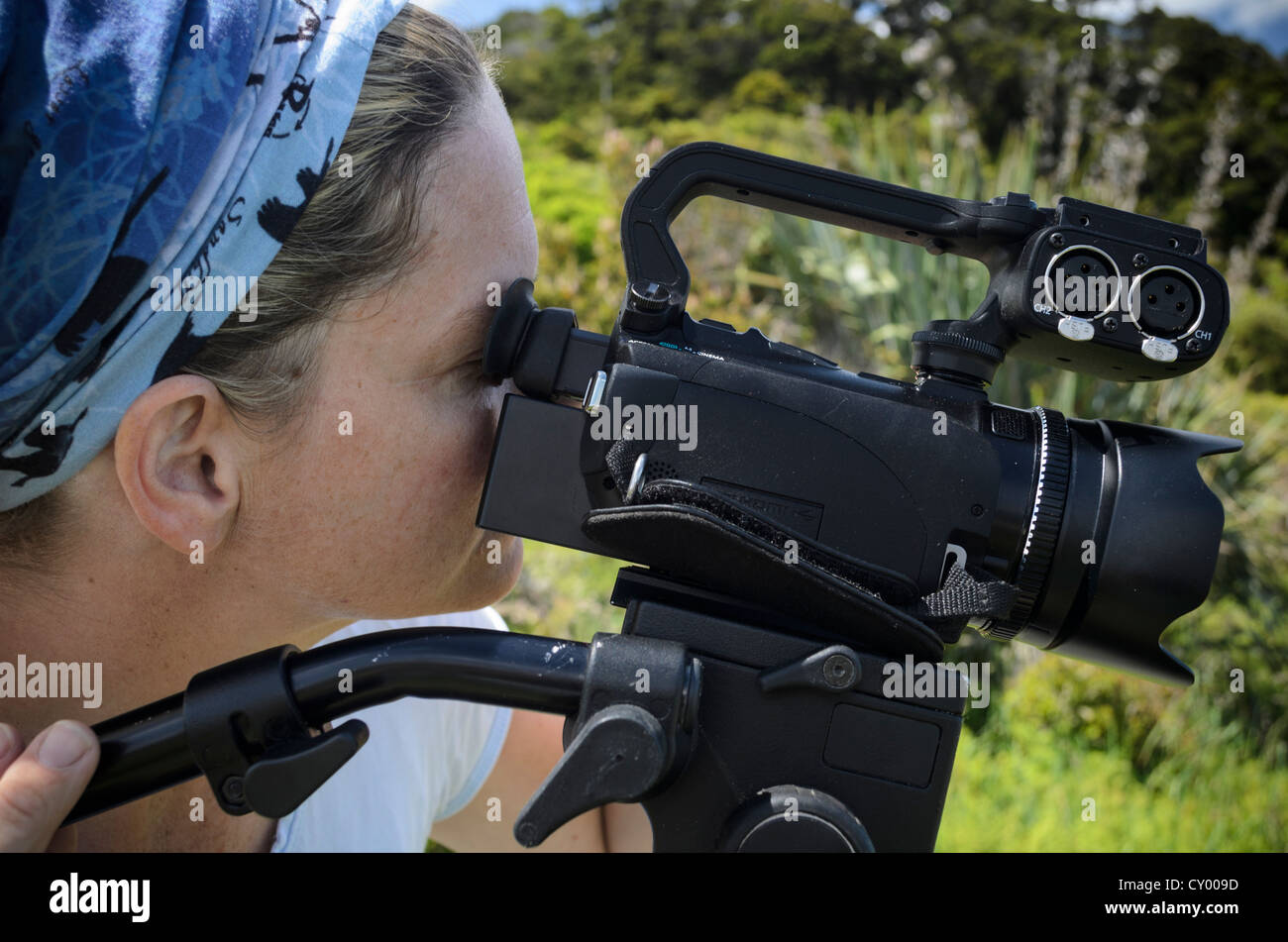 Young woman looking through the viewfinder of a HD-video camera on a tripod, New Zealand, Oceania Stock Photo