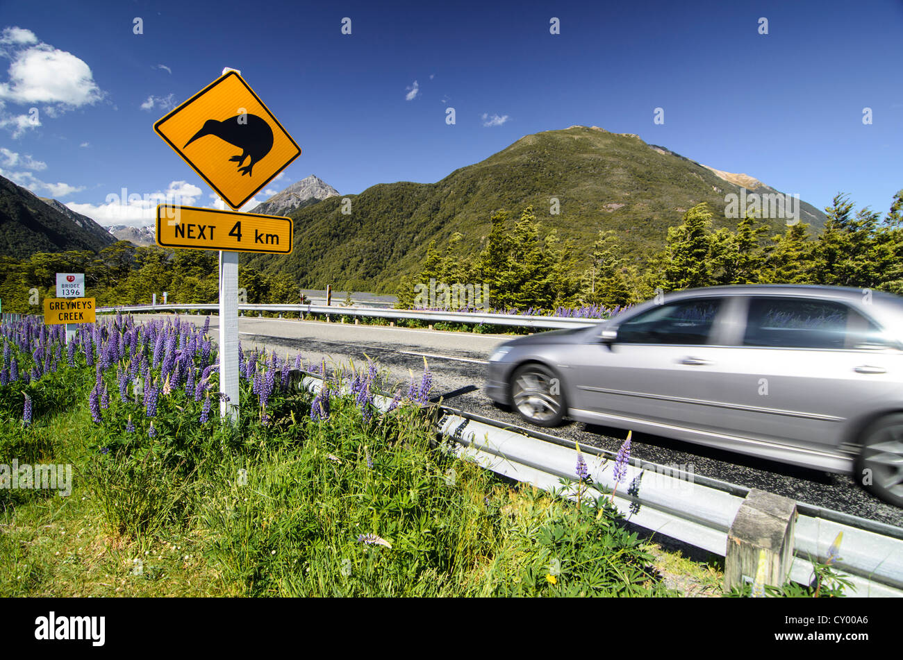 Silver car driving past a warning sign on a highway, 'Kiwis next 4 km', Porters Pass, Craigieburn Range, Canterbury Stock Photo
