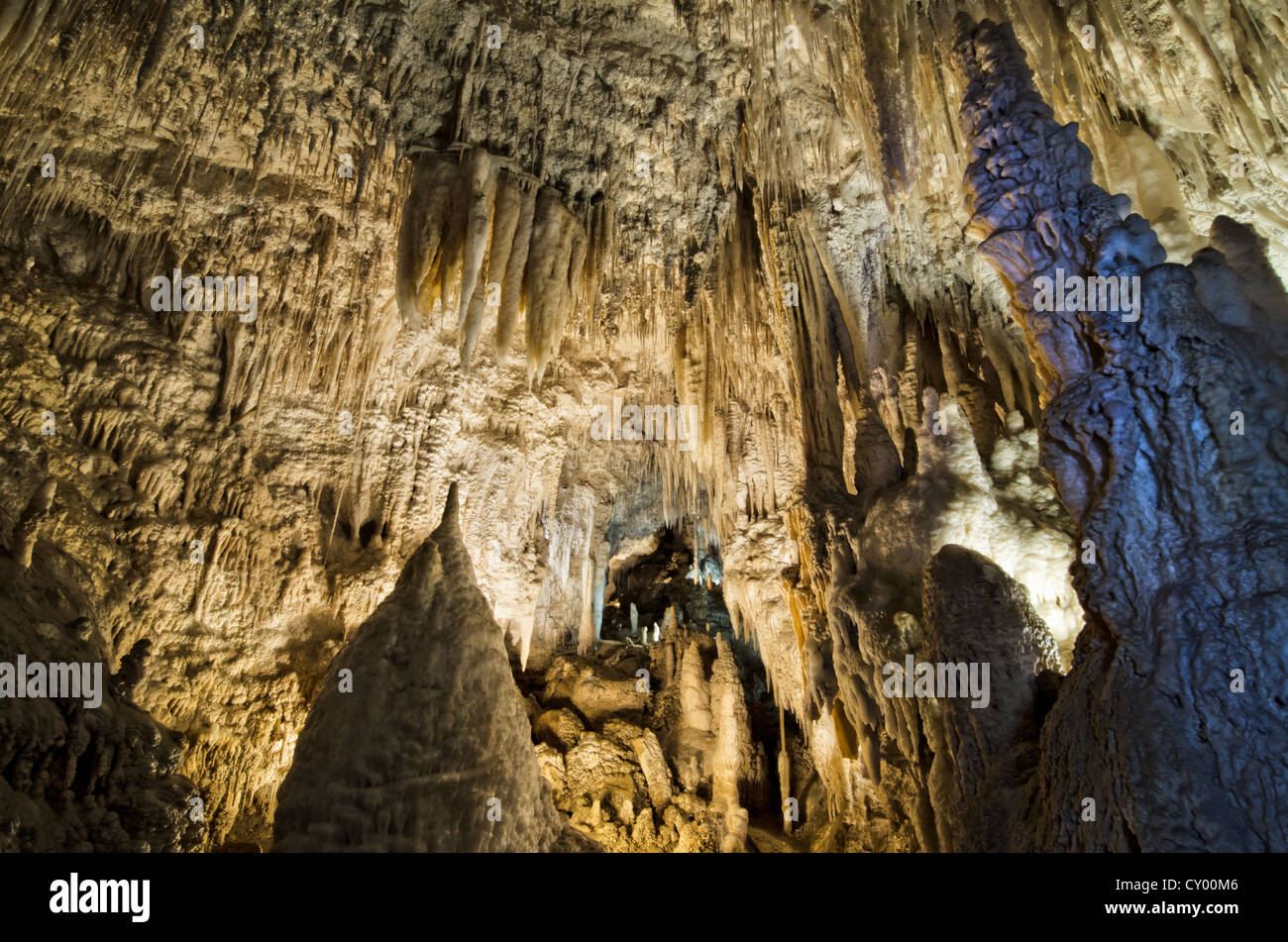 Waitomo Caves, stalagmites, Waitomo, North Island, New Zealand Stock Photo