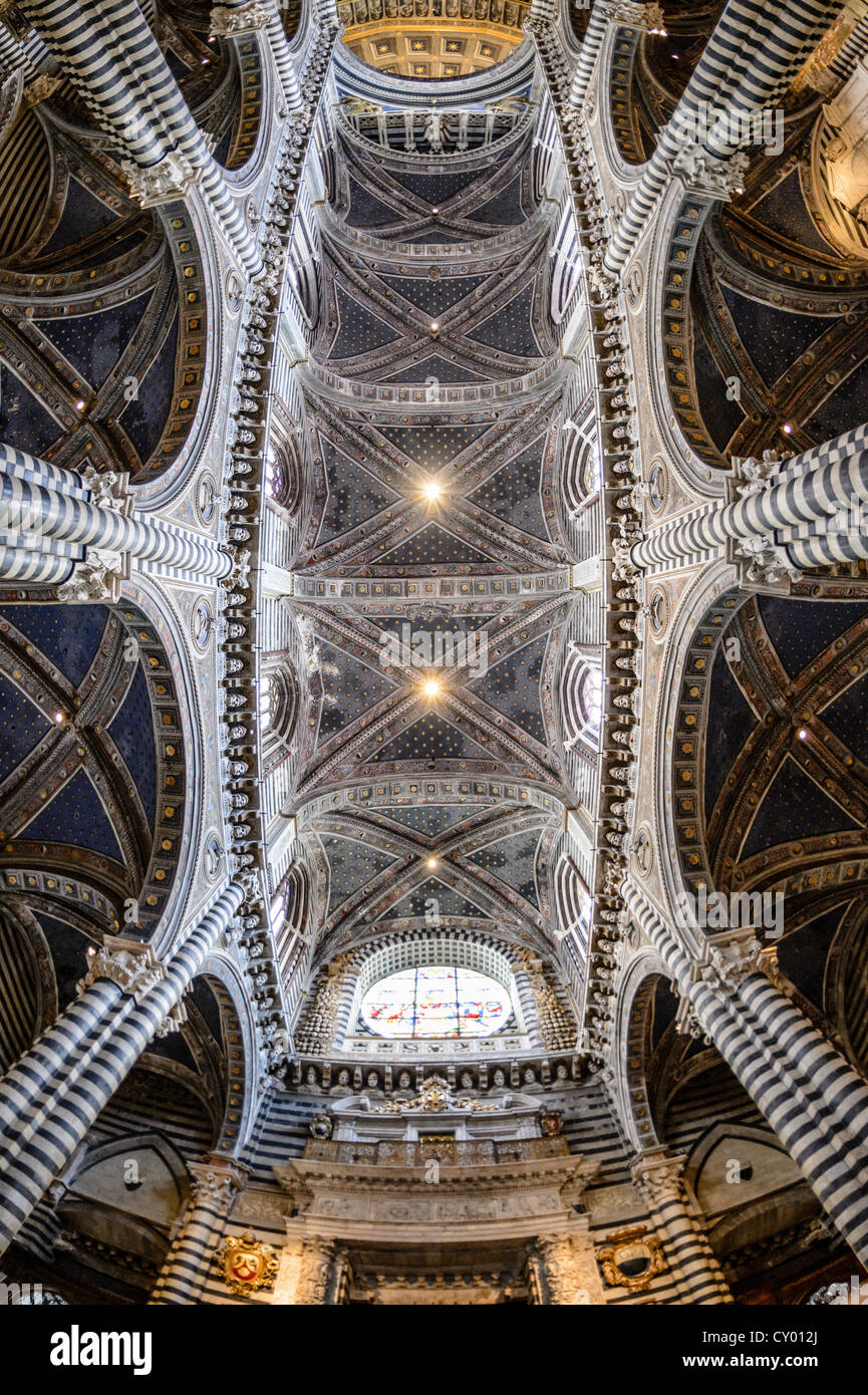Interior view, ceiling of the Cathedral of Siena, Cattedrale di Santa Maria Assunta, main church of the city of Siena, Tuscany Stock Photo