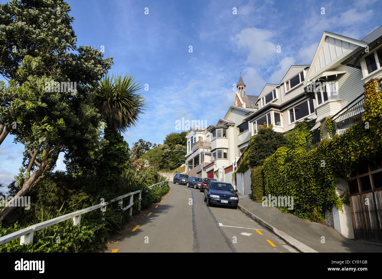 Residential street with wooden houses in Wellington, Oriental Bay, North Island, New Zealand Stock Photo