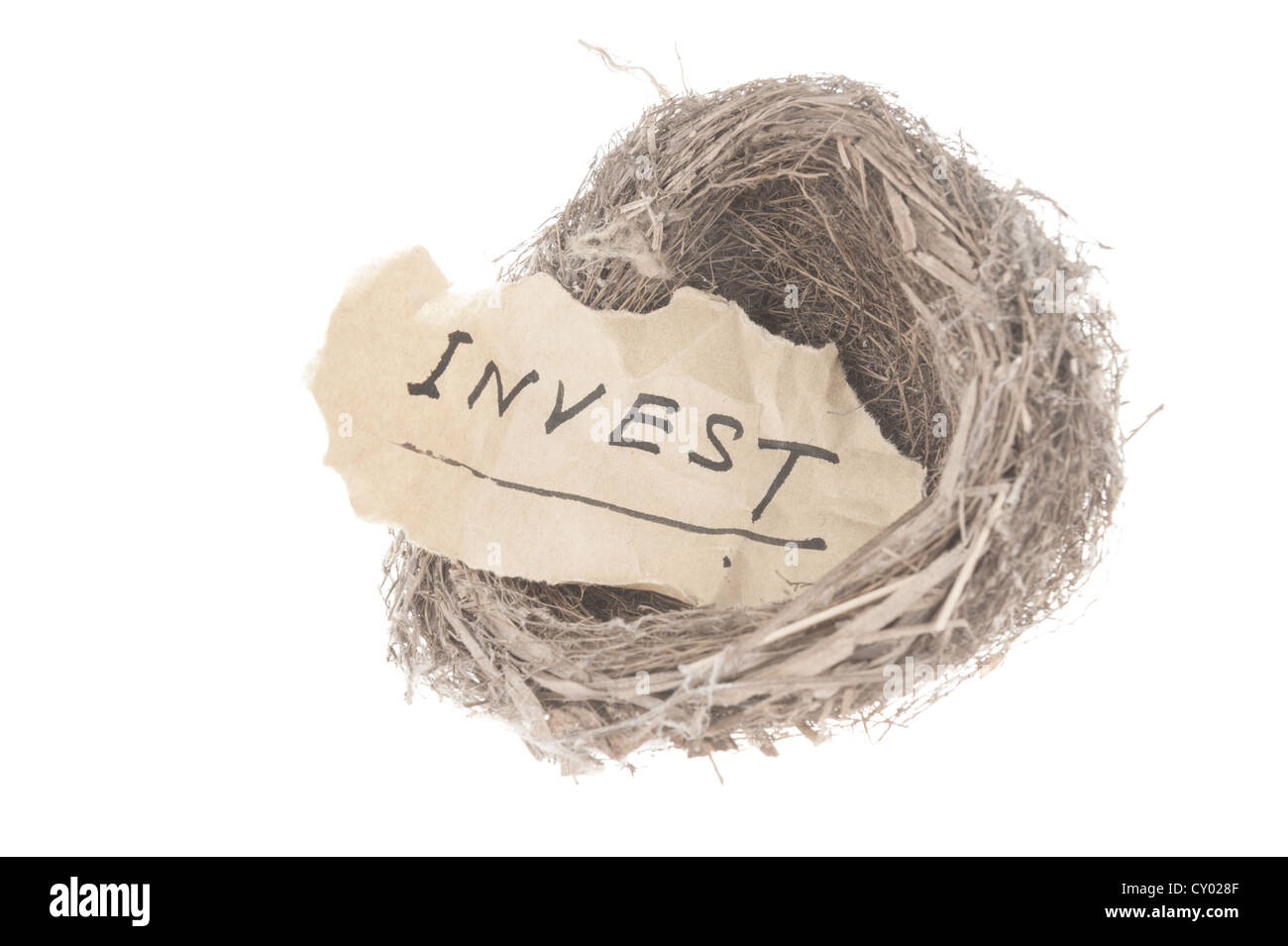 Invest concept word in bird nest Stock Photo